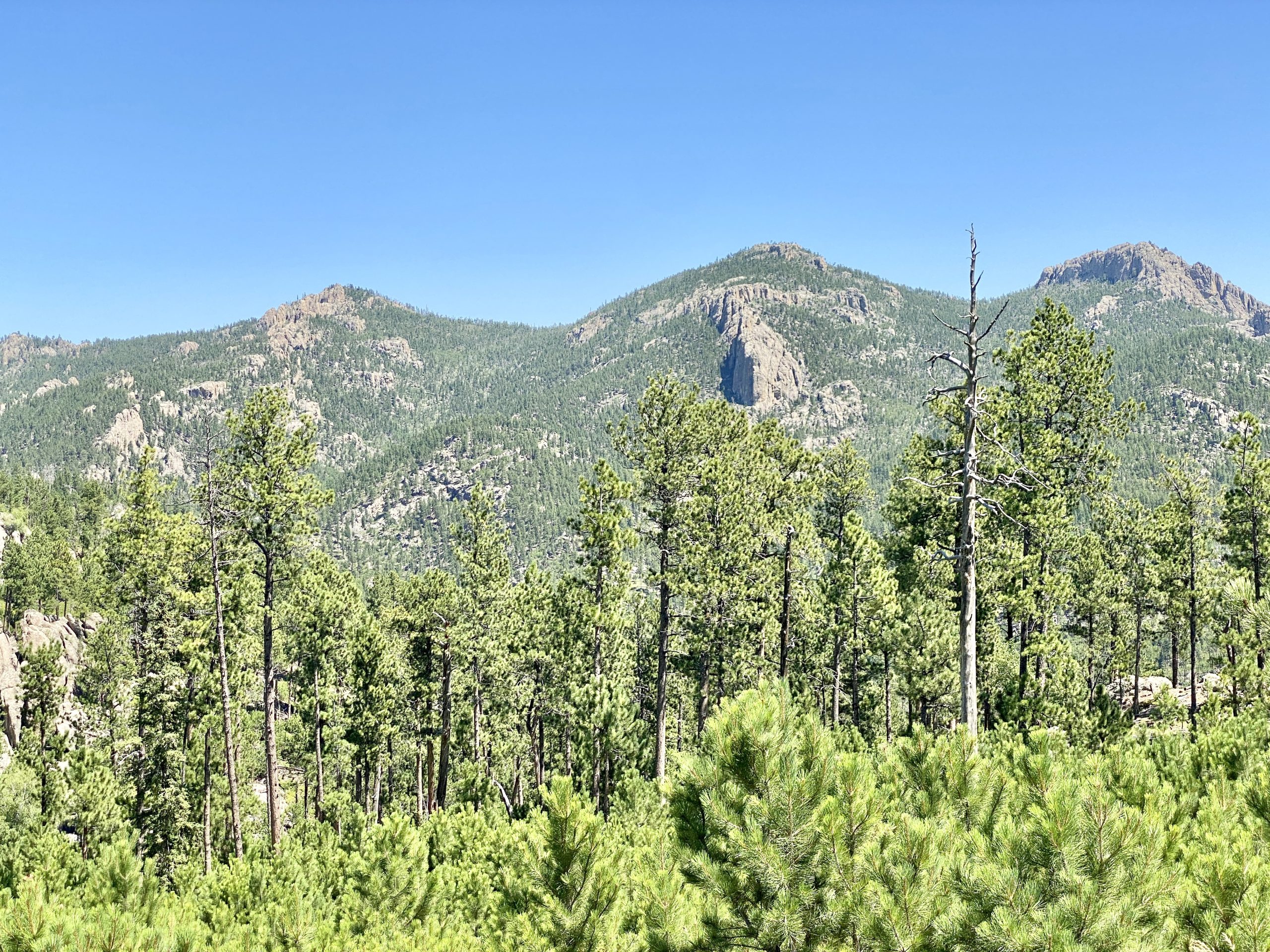 Custer State Park Needles Highway