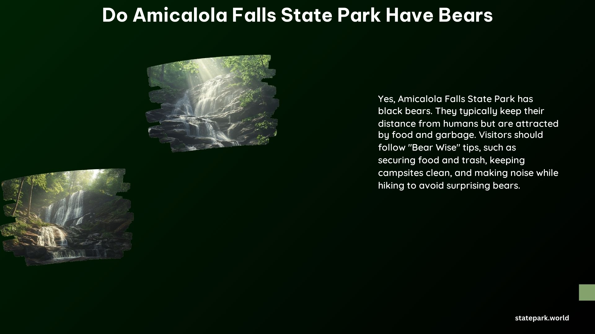 Do Amicalola Falls State Park Have Bears