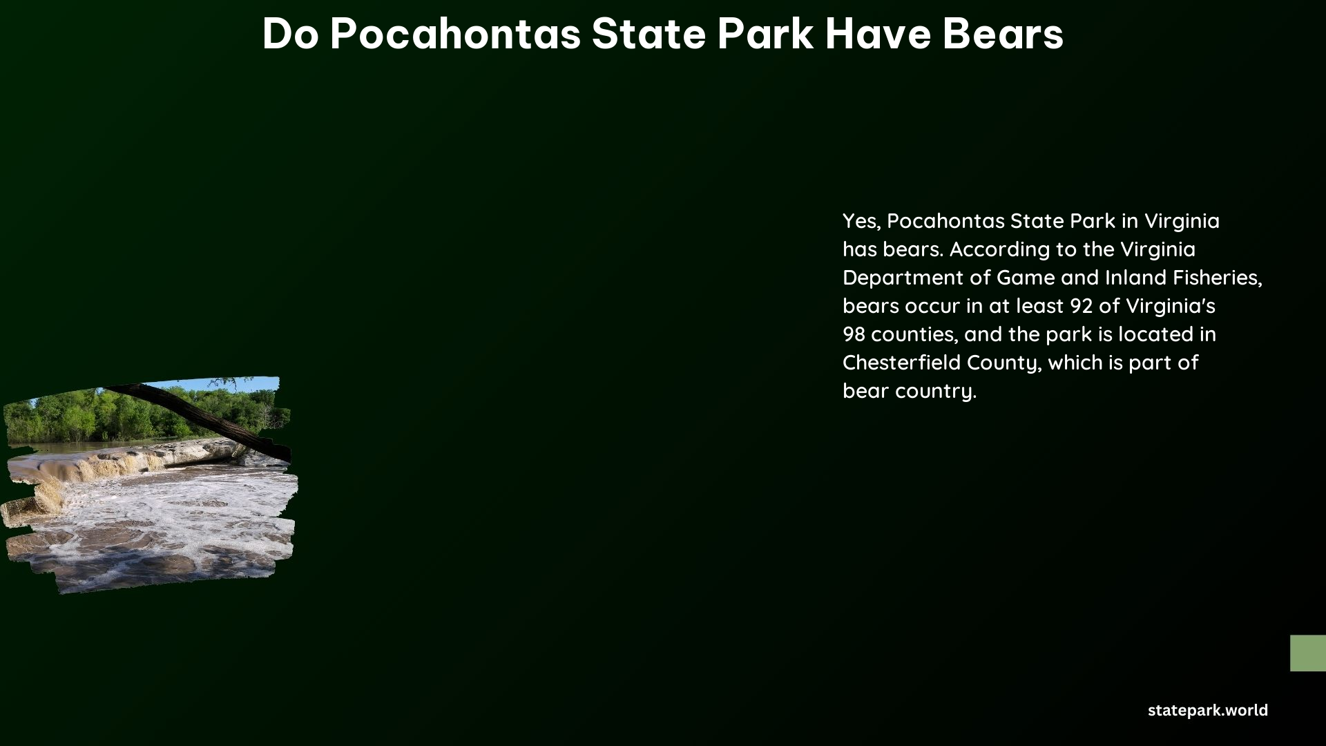 Do Pocahontas State Park Have Bears