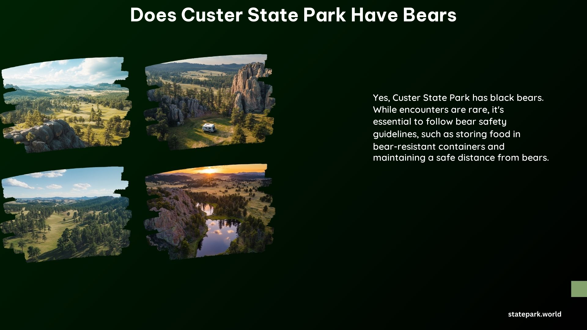 Does Custer State Park Have Bears