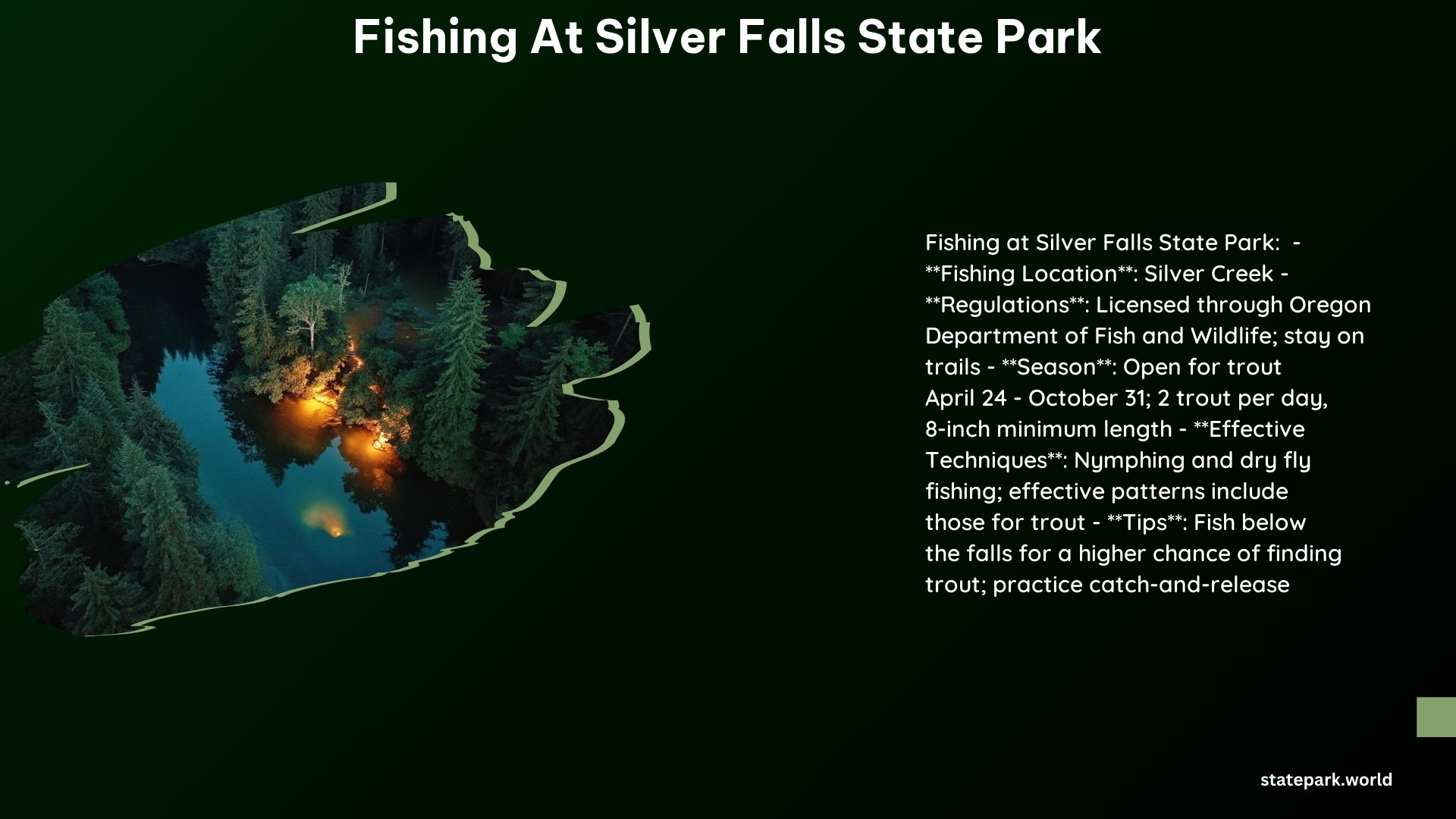 Fishing at Silver Falls State Park