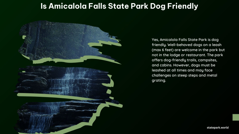 Is Amicalola Falls State Park Dog Friendly