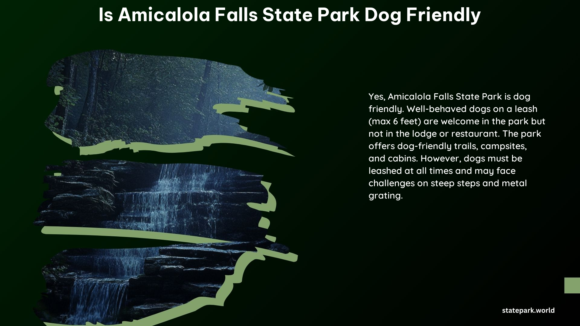 Is Amicalola Falls State Park Dog Friendly