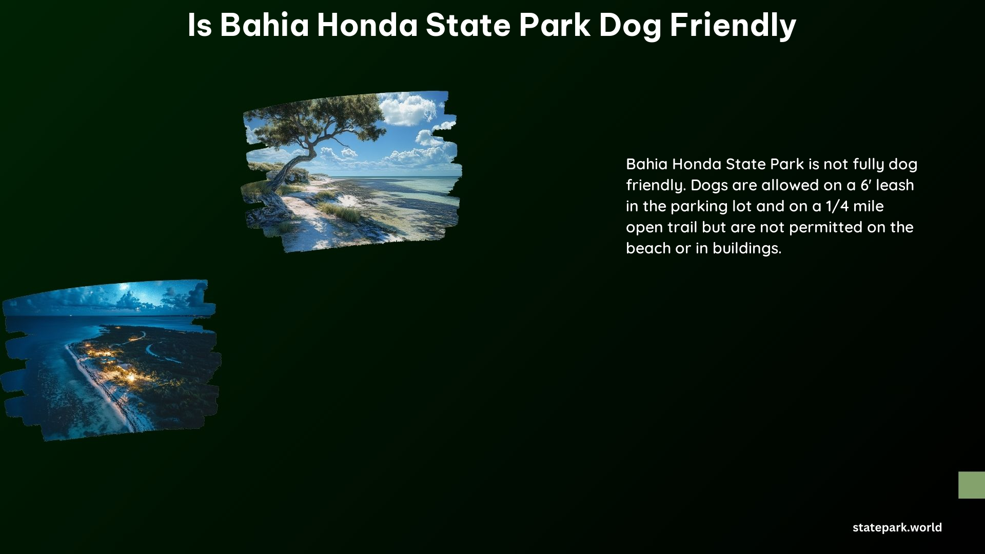 Is Bahia Honda State Park Dog Friendly