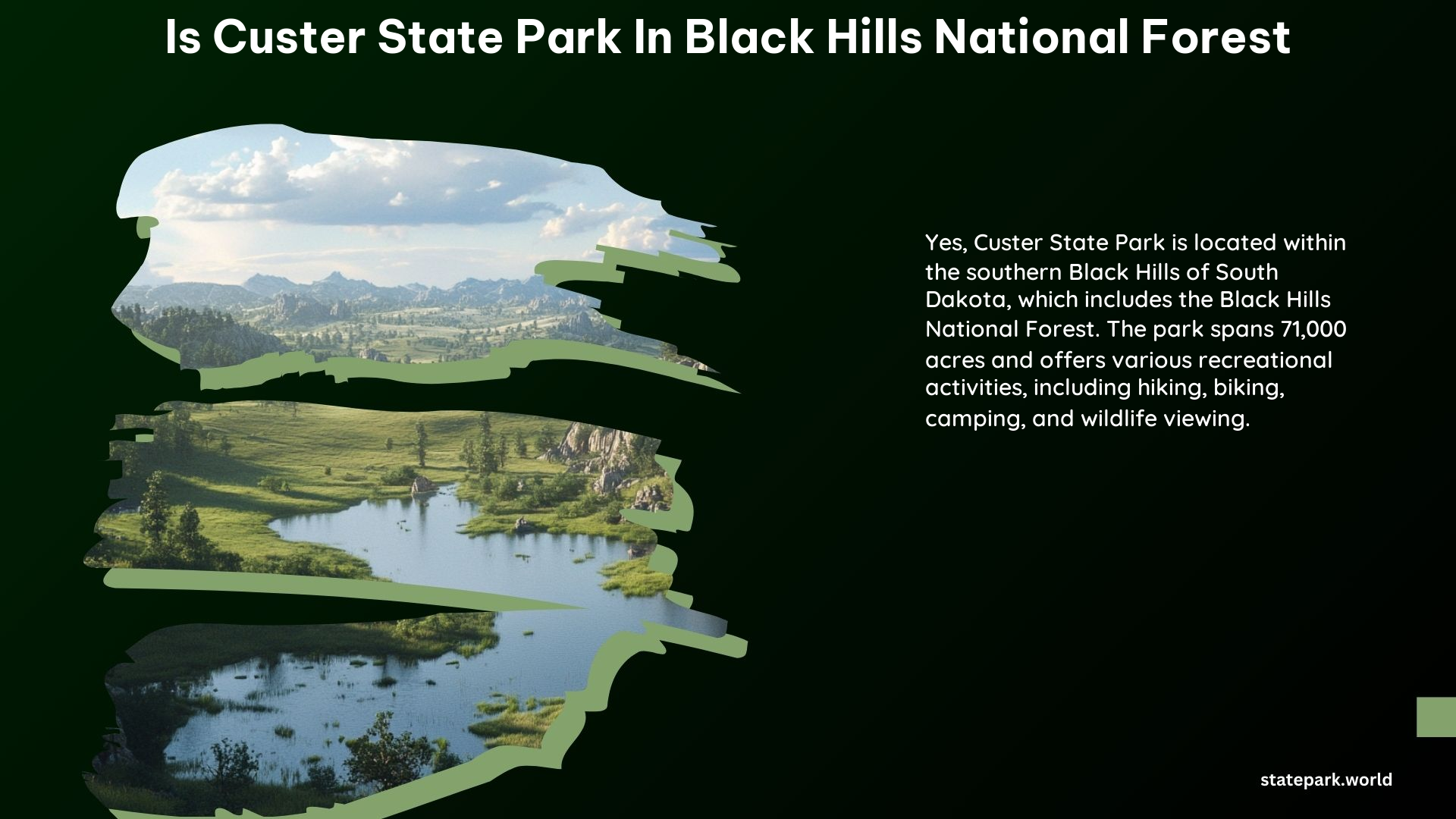 Is Custer State Park in Black Hills National Forest