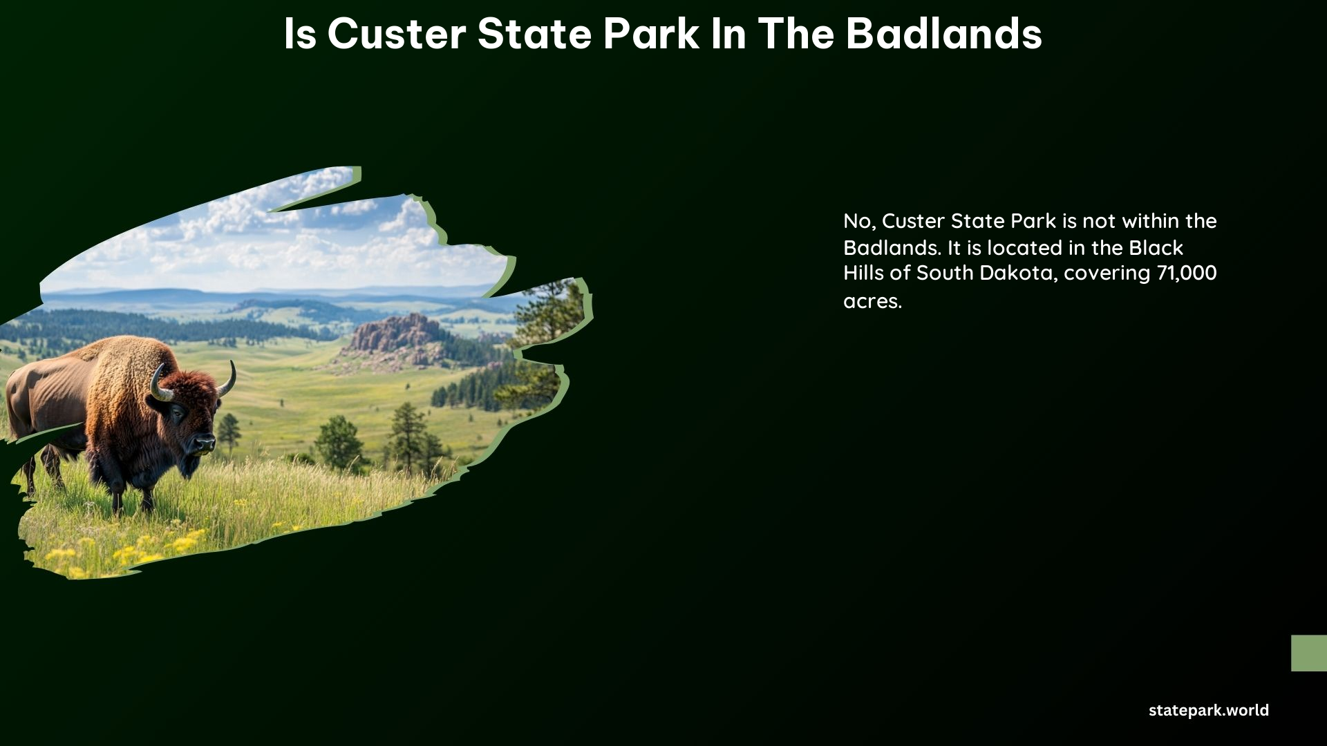 Is Custer State Park in the Badlands