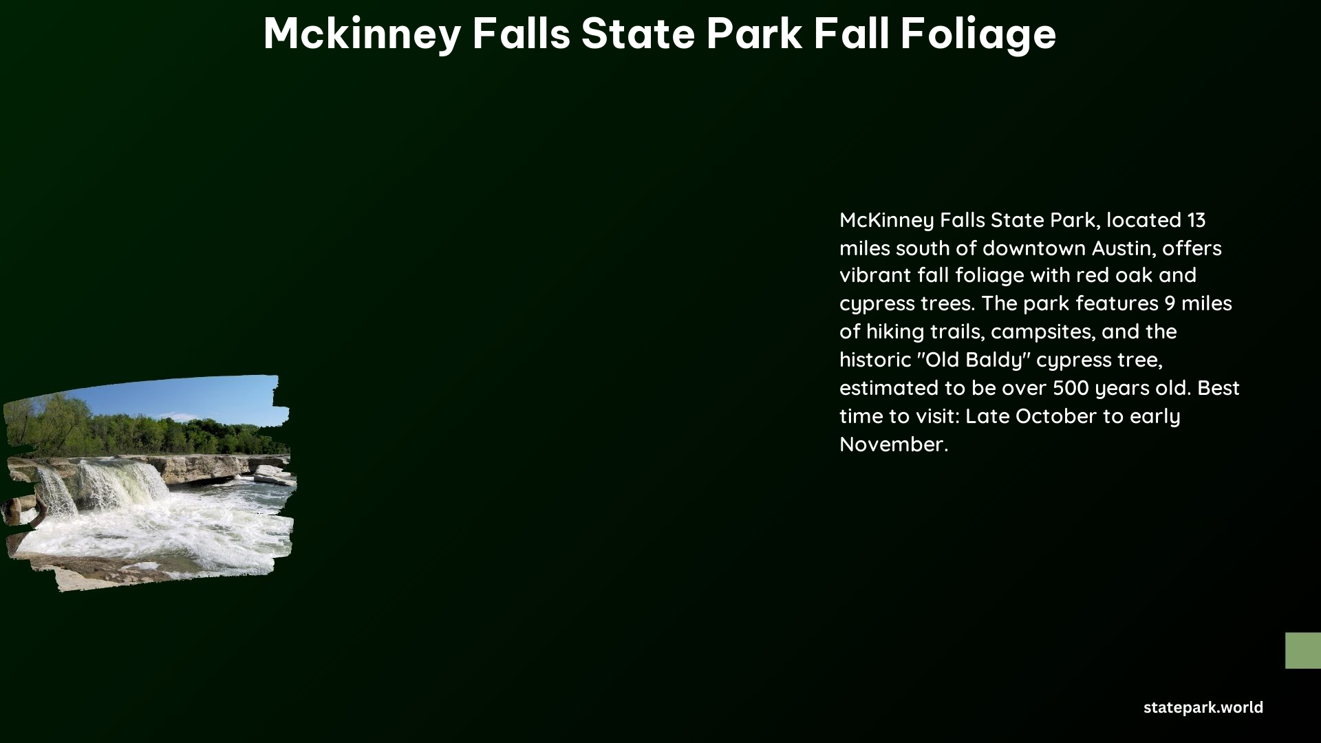 McKinney Falls State Park Fall Foliage