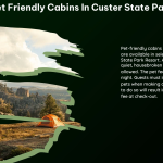 Pet Friendly Cabins in Custer State Park