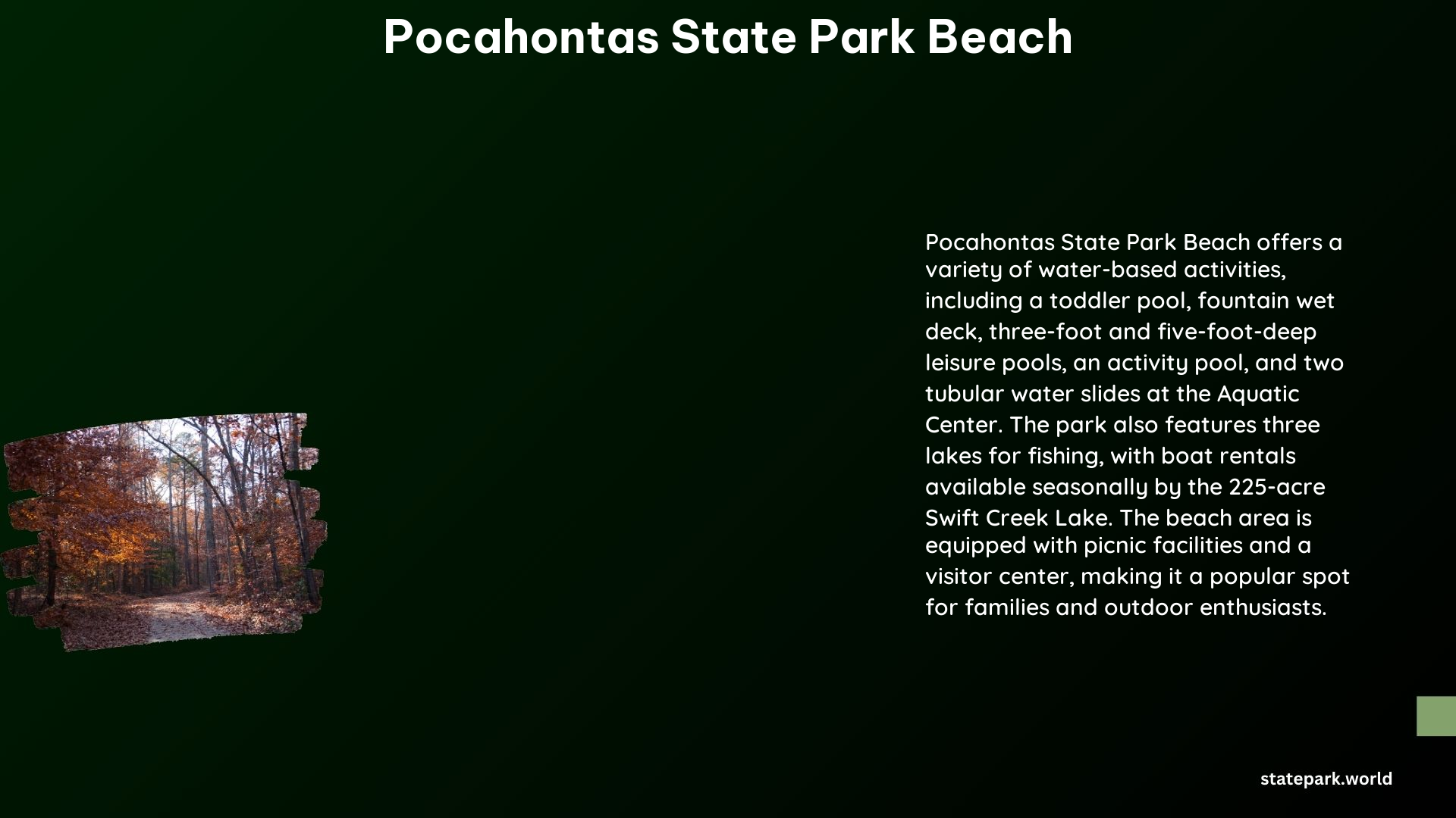 Pocahontas State Park Beach