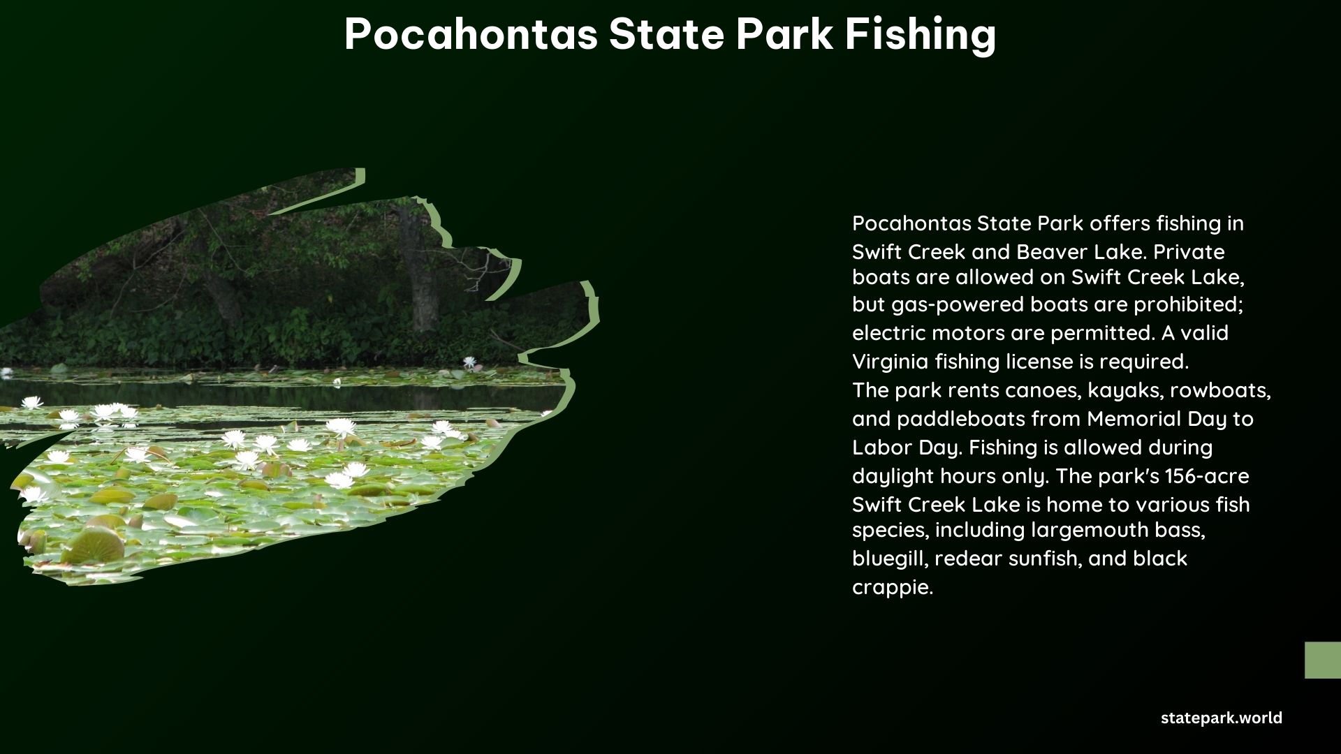 Pocahontas State Park Fishing