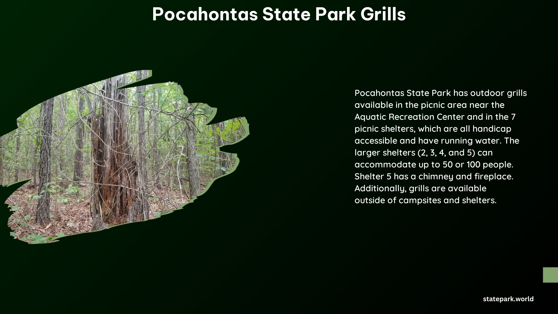 Pocahontas State Park Grills