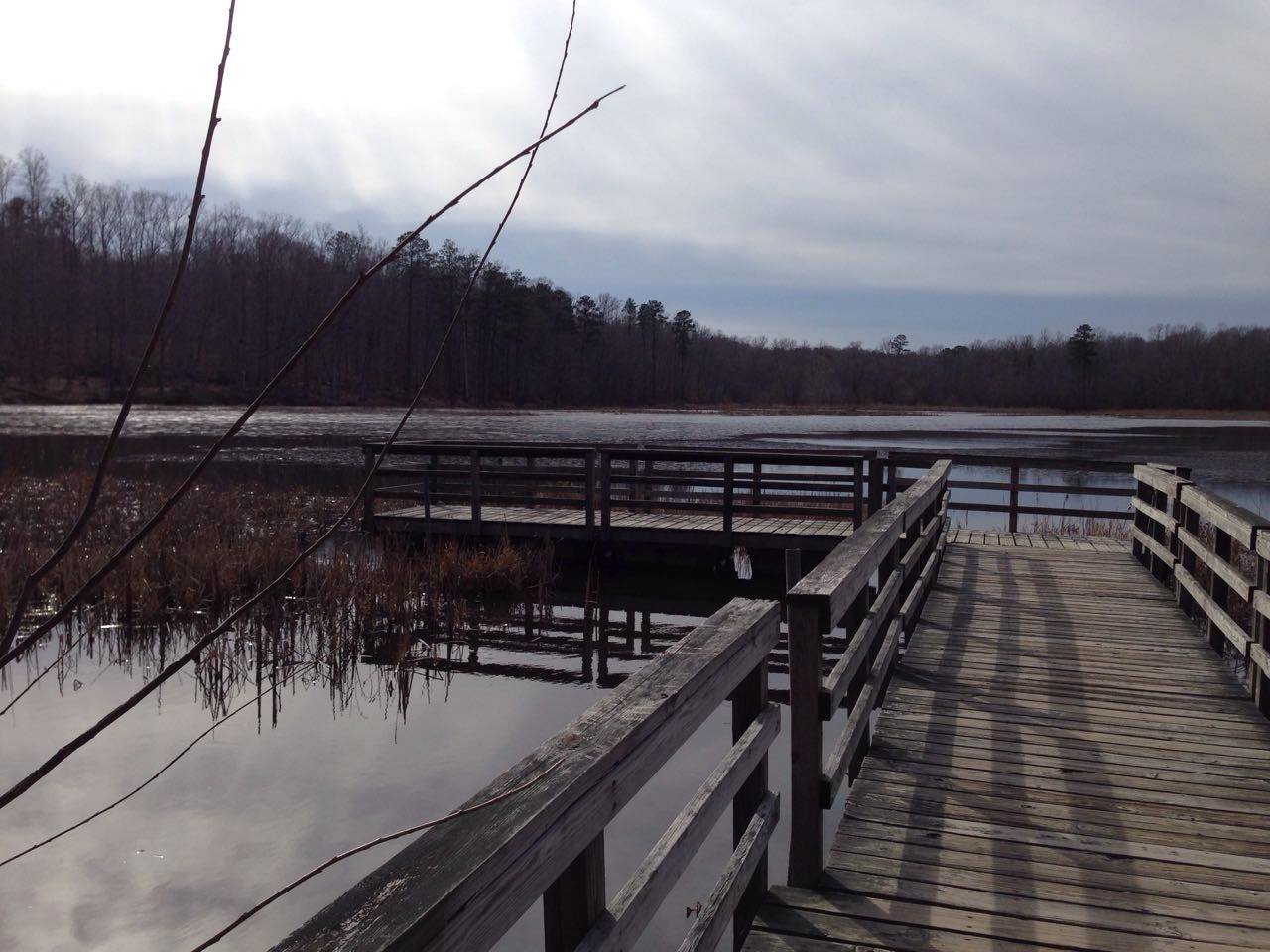 Pocahontas State Park Venue