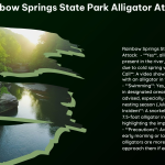 Rainbow Springs State Park Alligator Attack