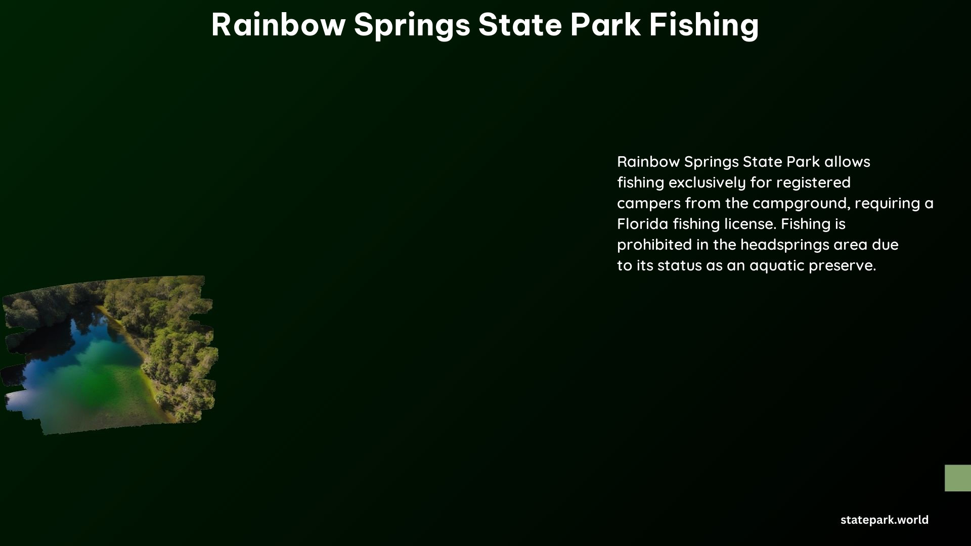 Rainbow Springs State Park Fishing