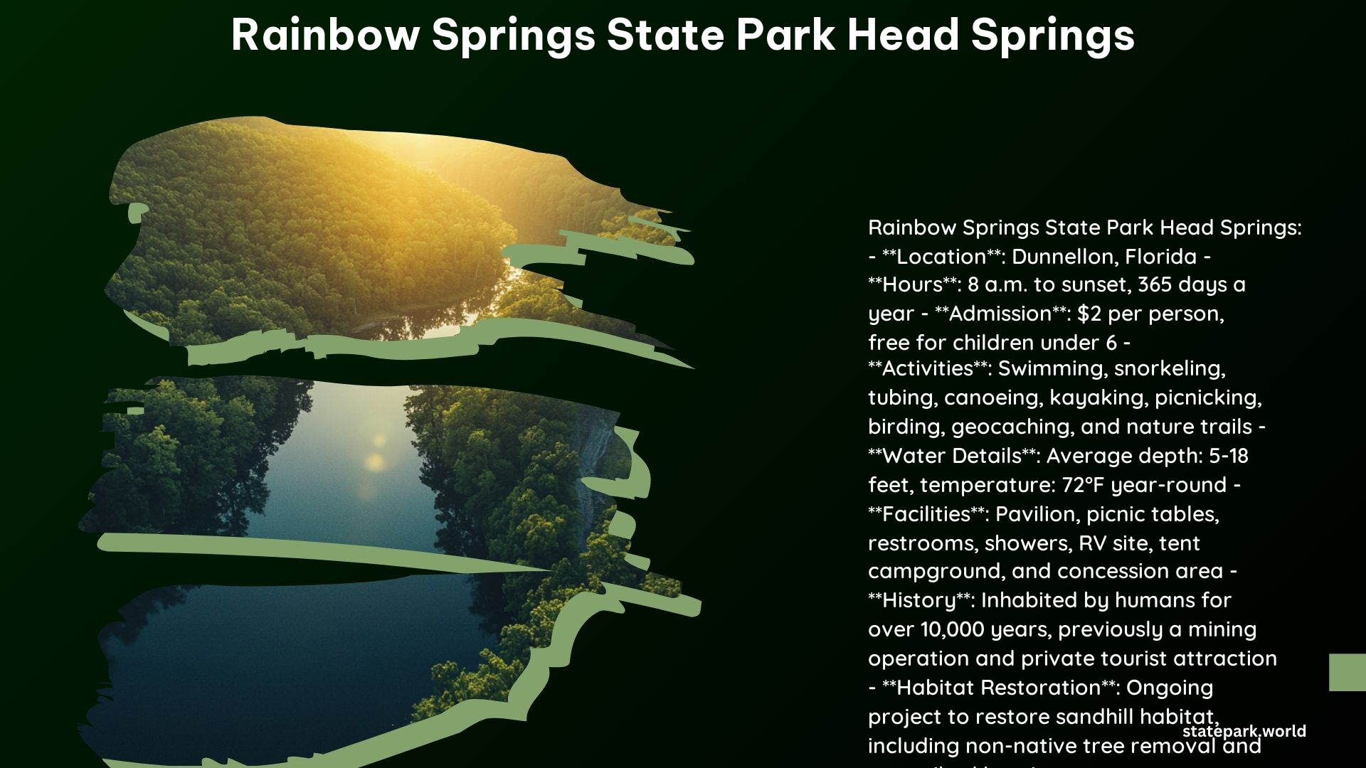 Rainbow Springs State Park Head Springs