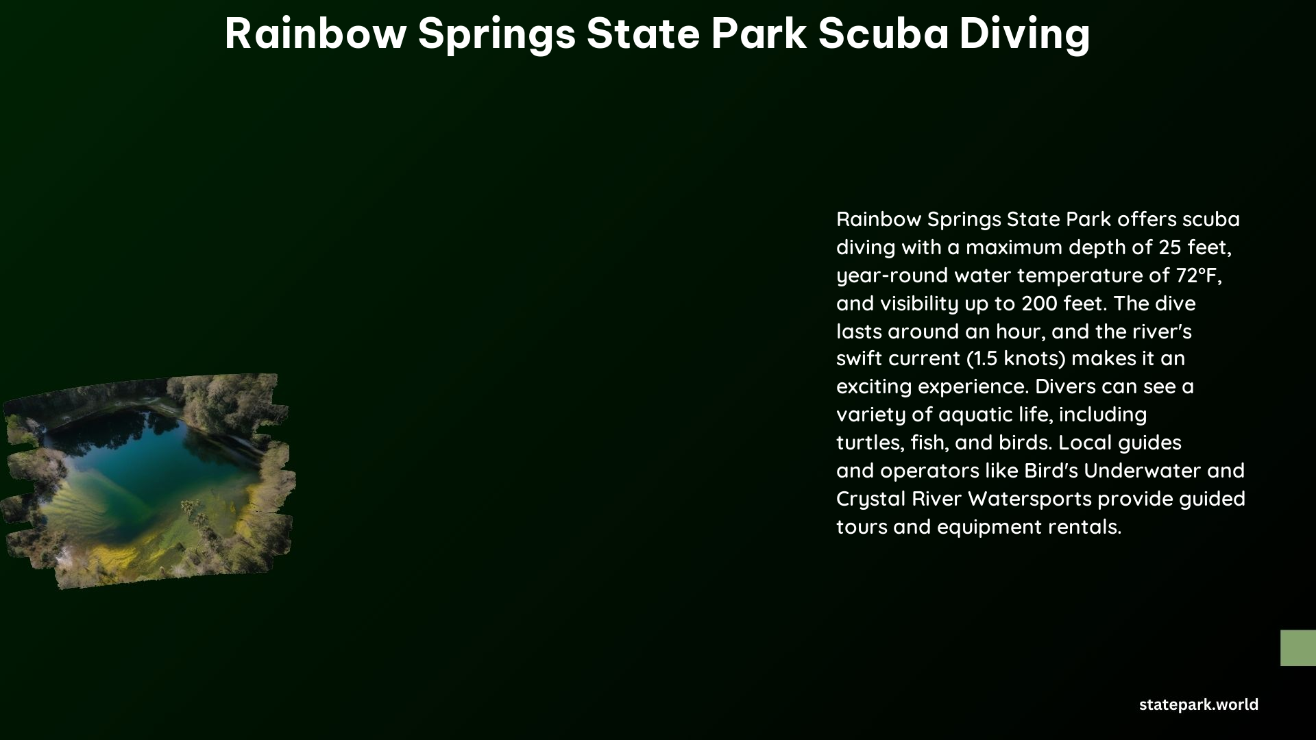 Rainbow Springs State Park Scuba Diving