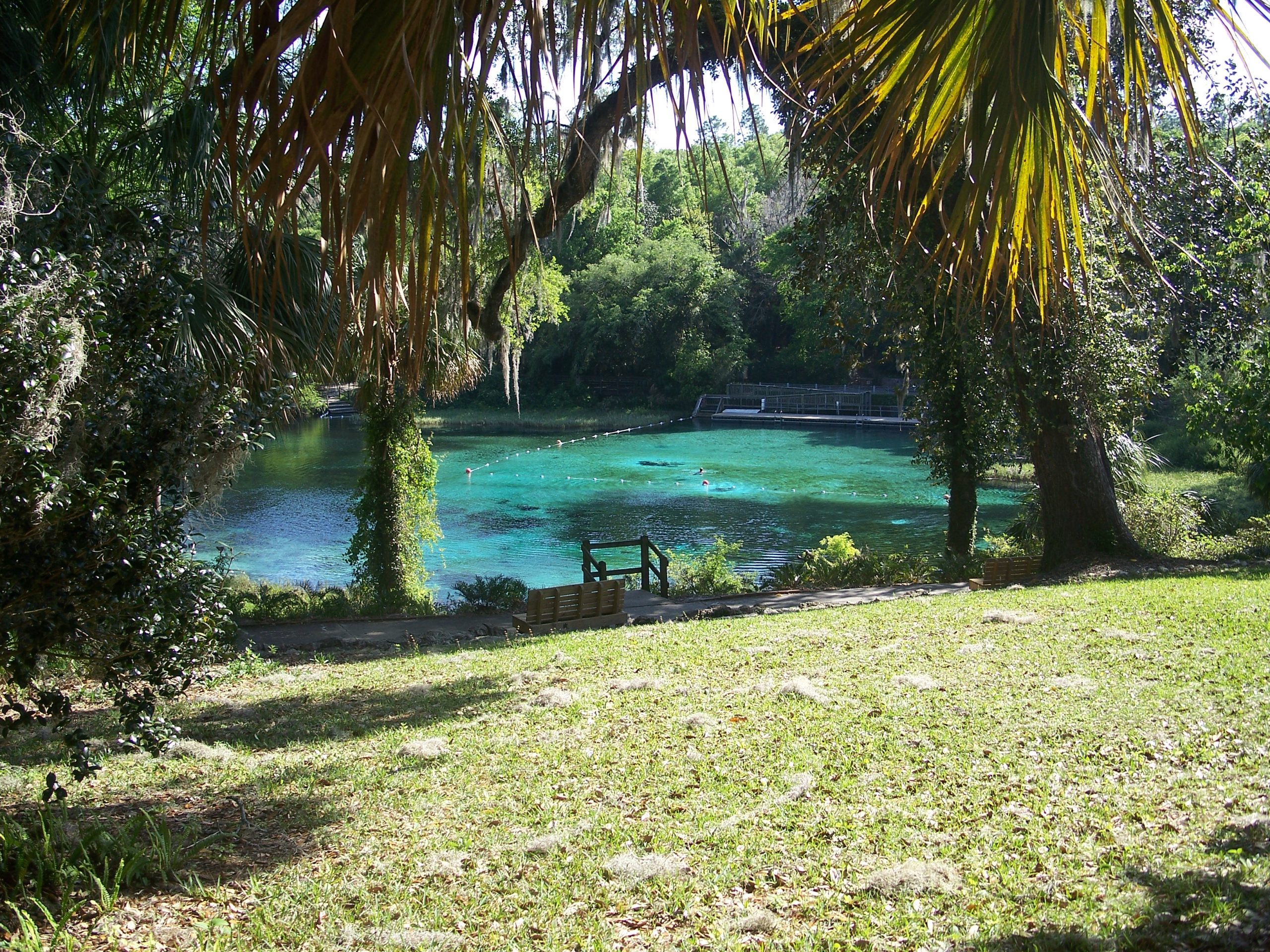 Rainbow Springs State Park Best Time to Visit