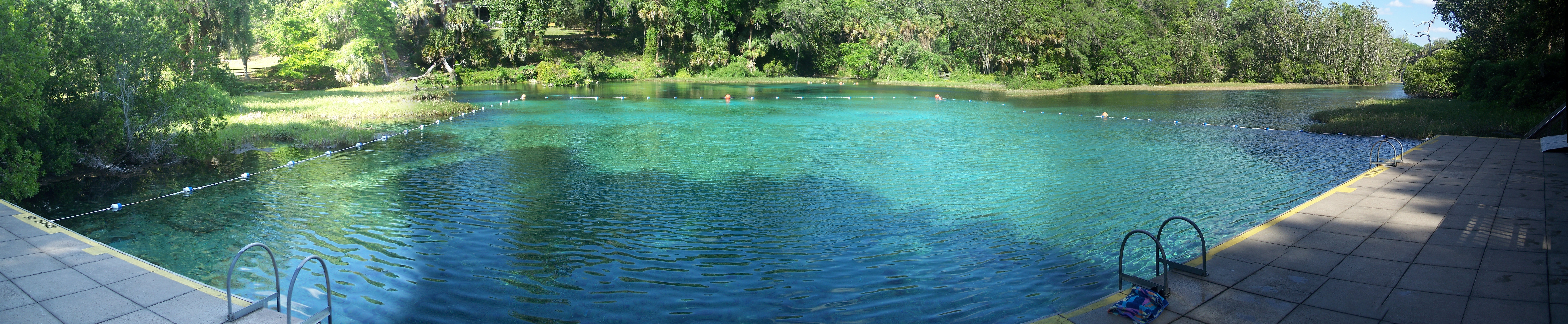 Rainbow Springs State Park Alligator Attack