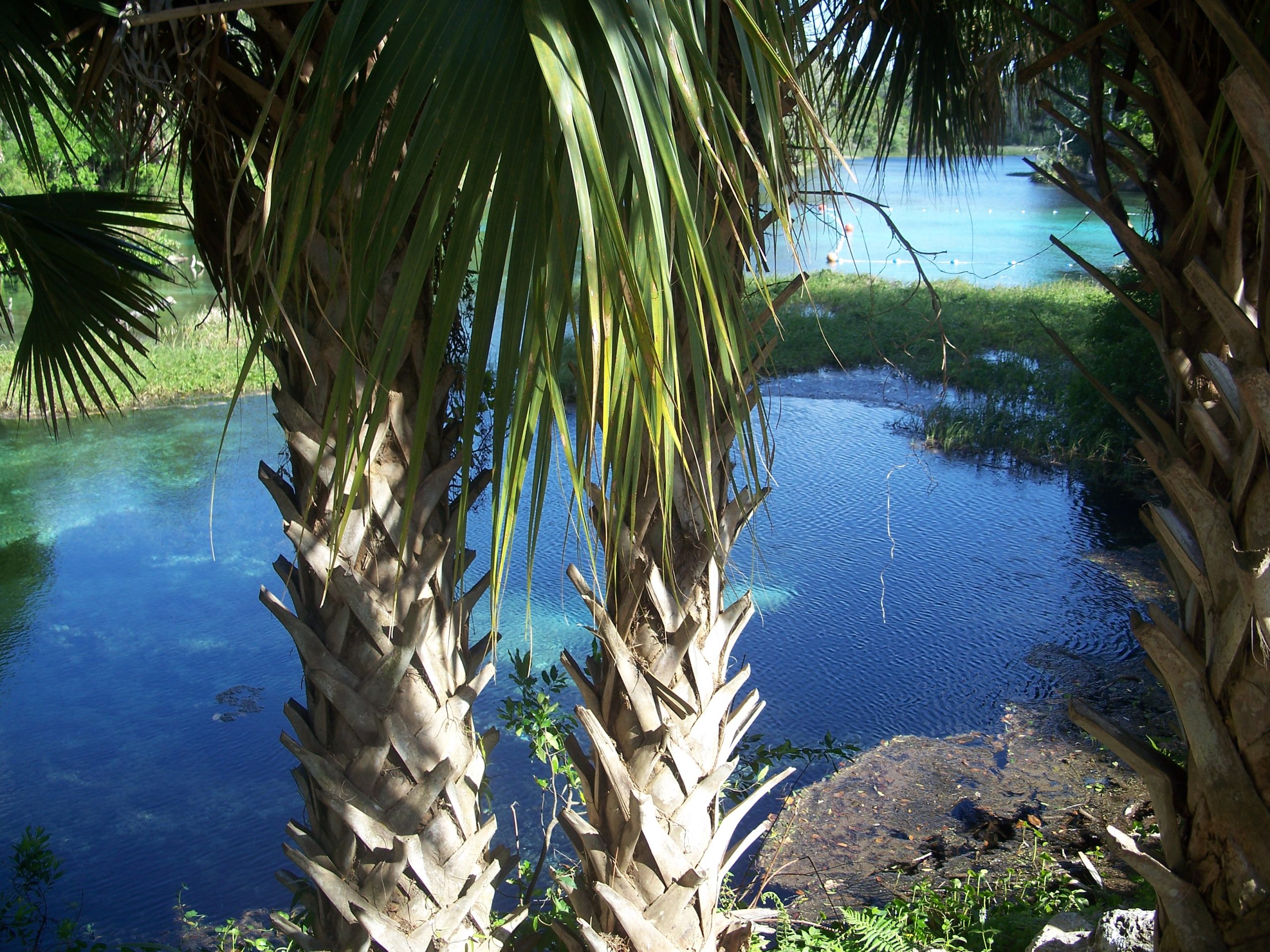 Things to Do in Rainbow Springs State Park