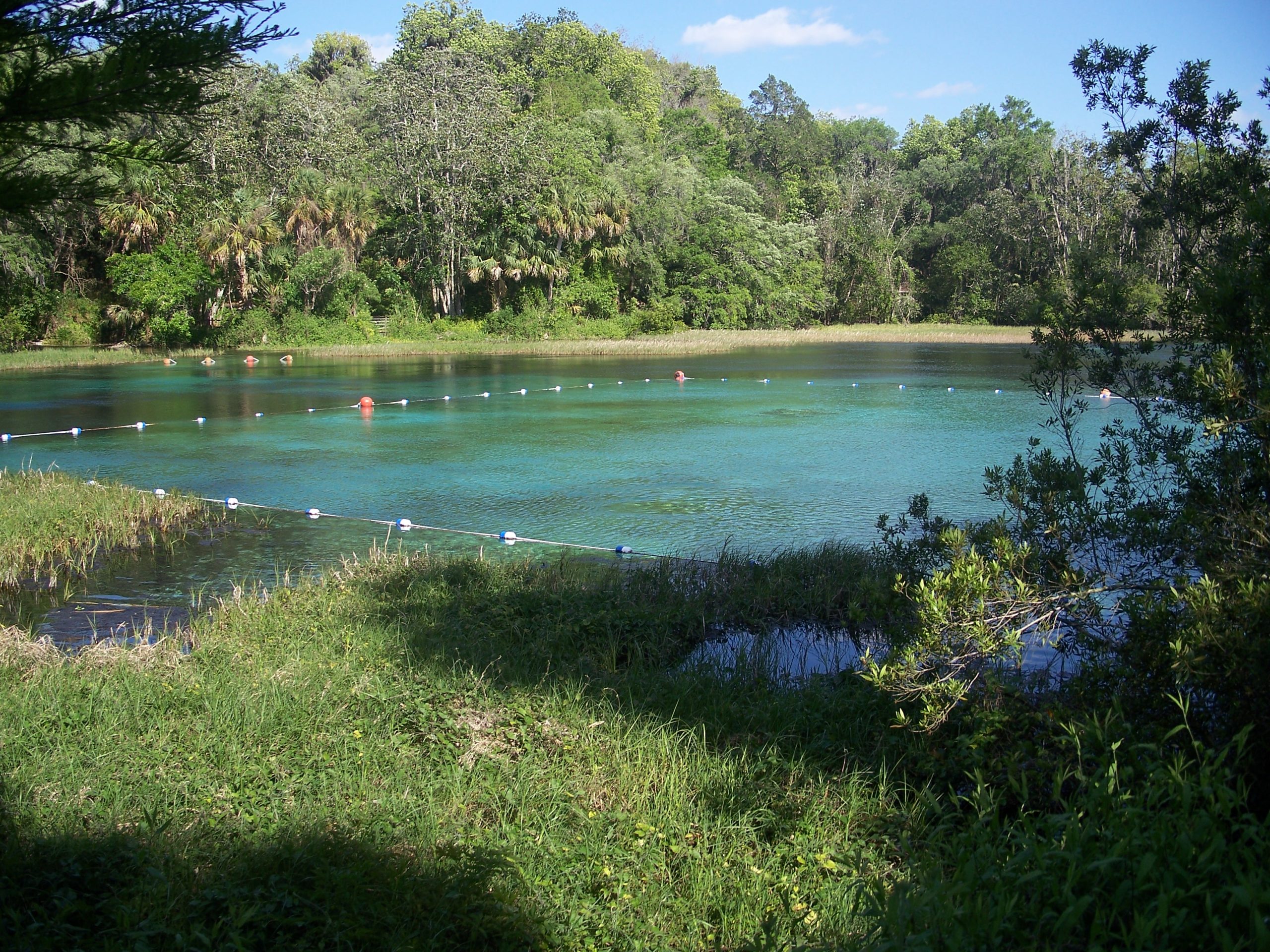 Rainbow Springs State Park Swimming