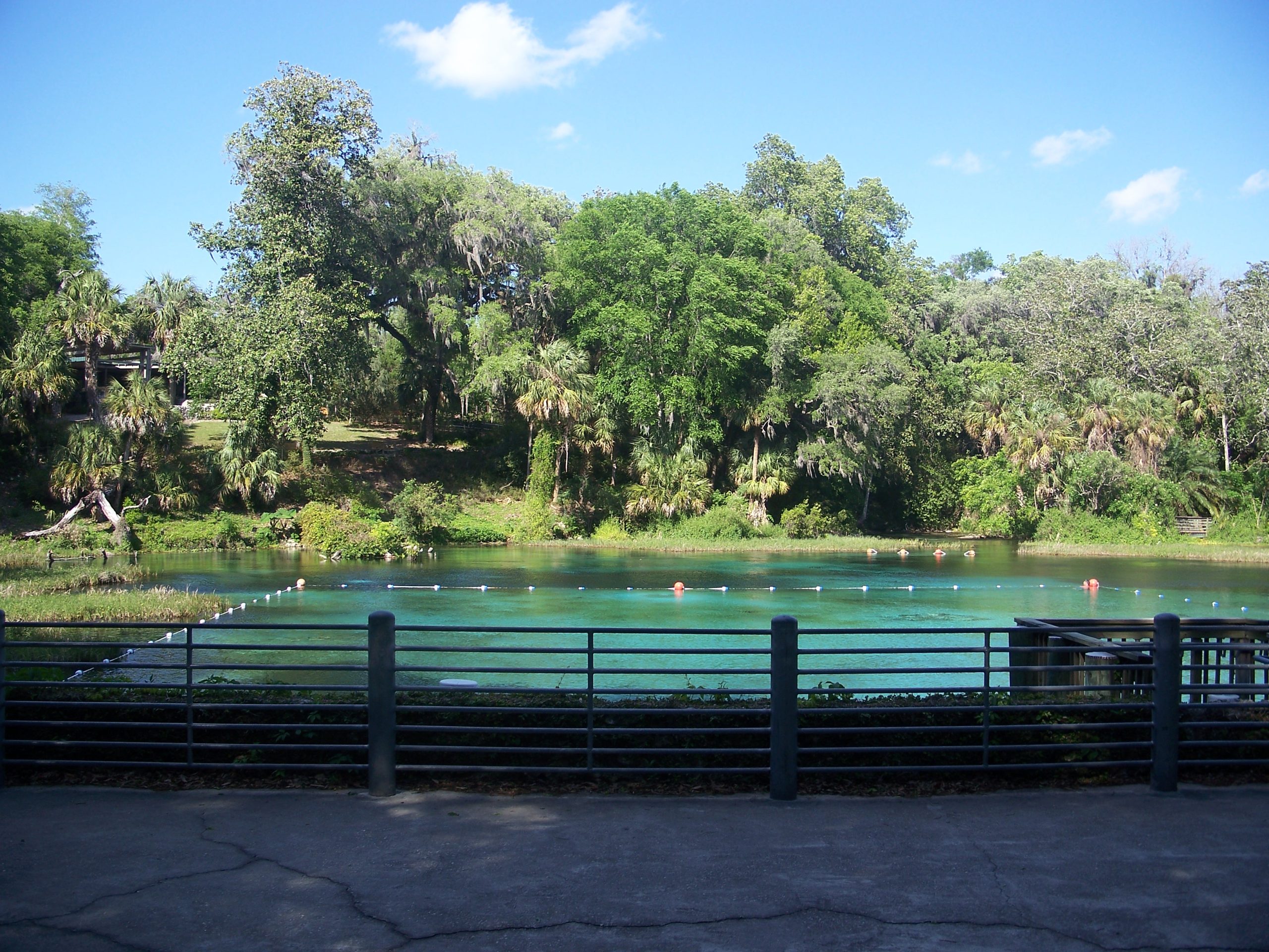 Rainbow Springs State Park Parking