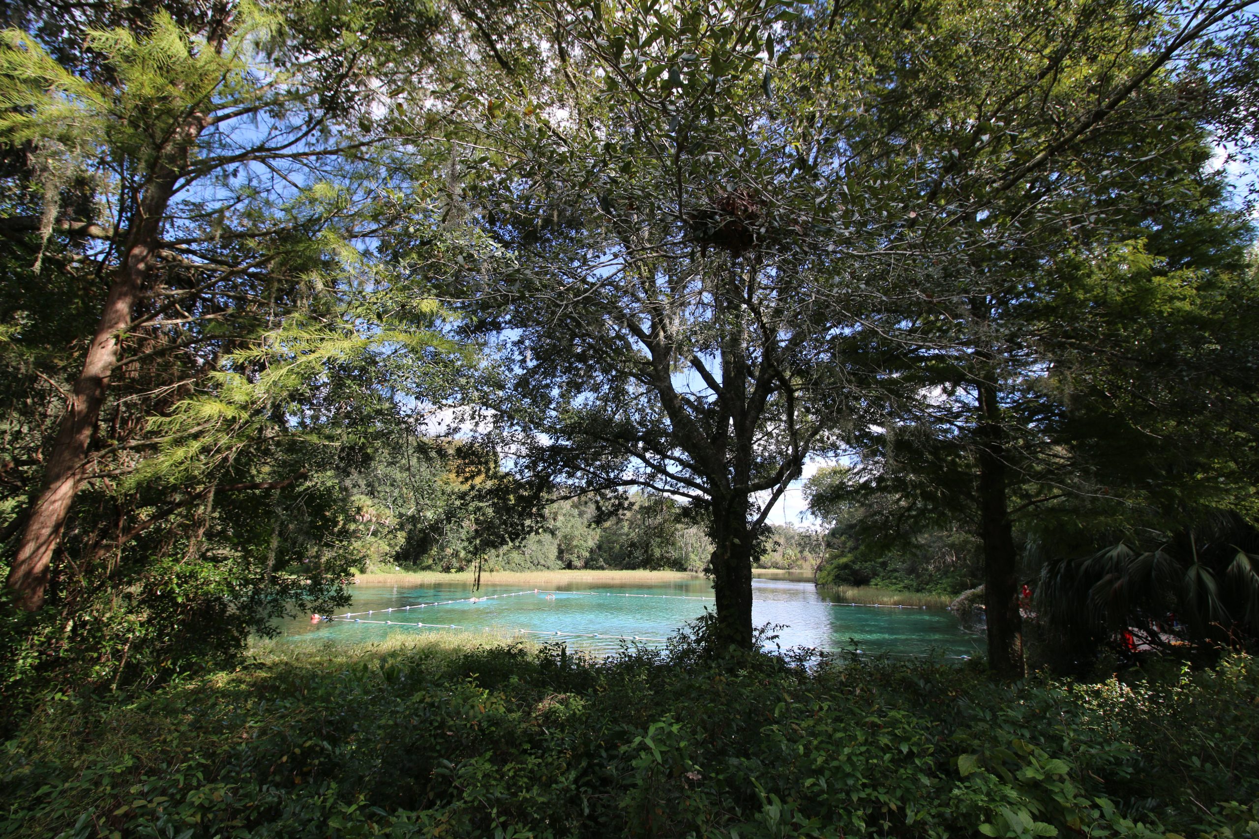 Rainbow Springs State Park Christmas Lights