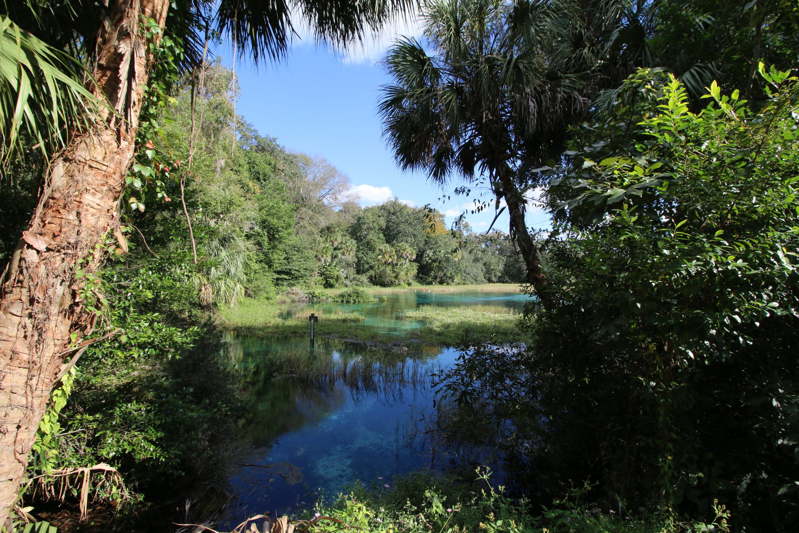 Rainbow Springs State Park KP Hole