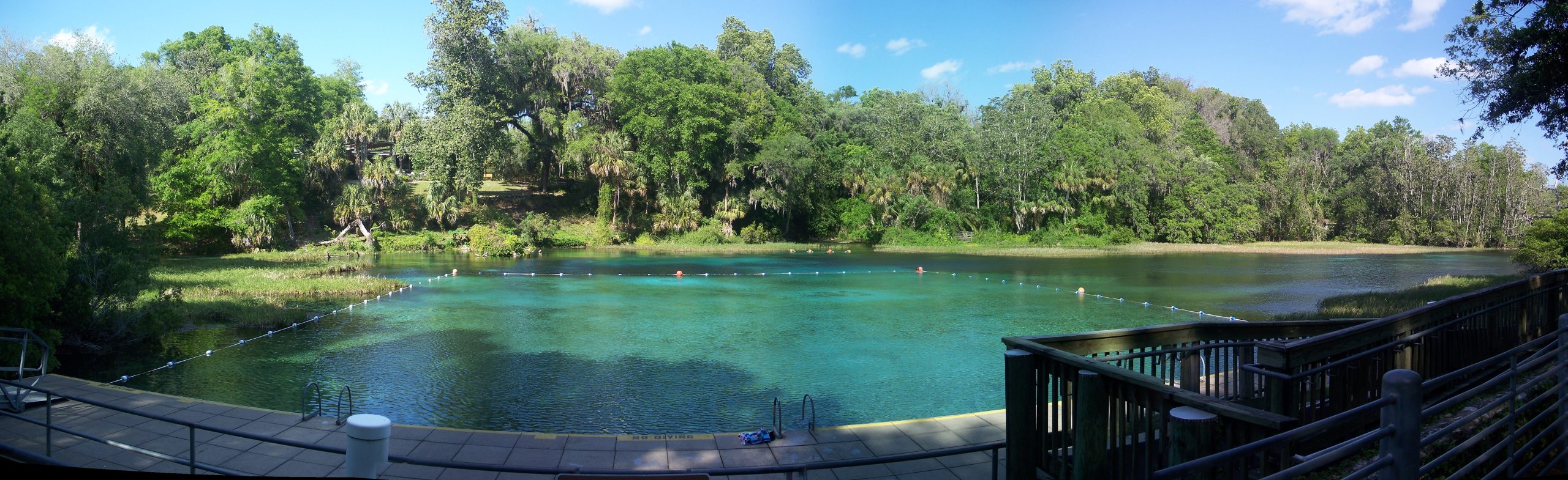 Rainbow Springs State Park Kayak Rentals