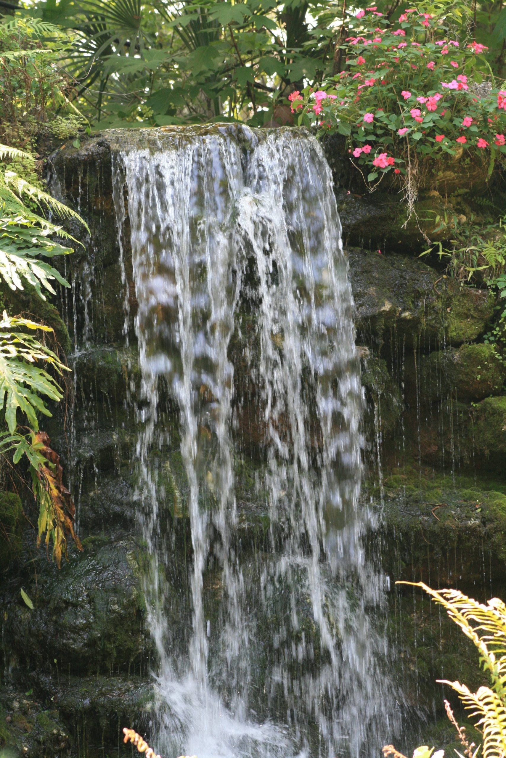 Rainbow Springs State Park and Rainbow River