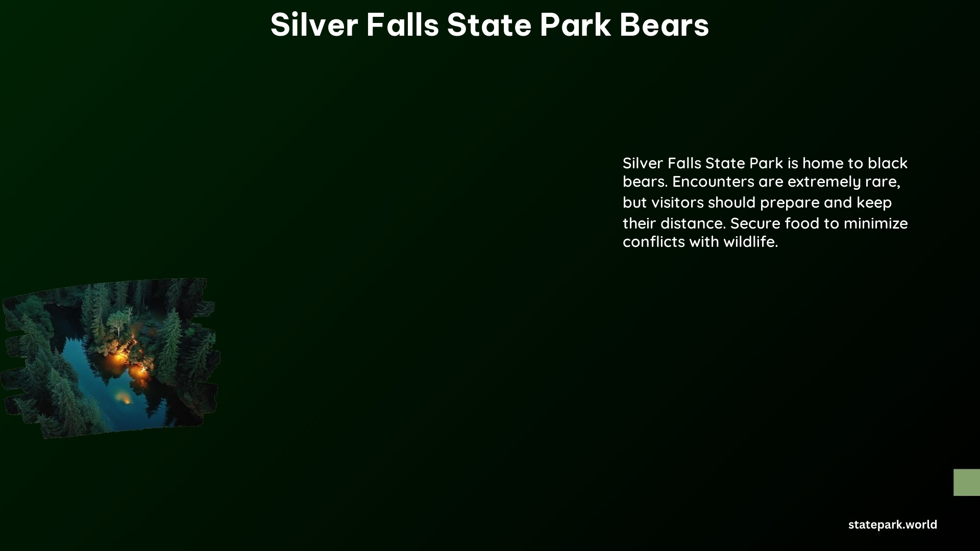 Silver Falls State Park Bears