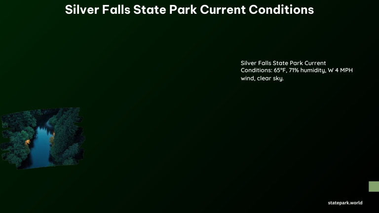 Silver Falls State Park Current Conditions