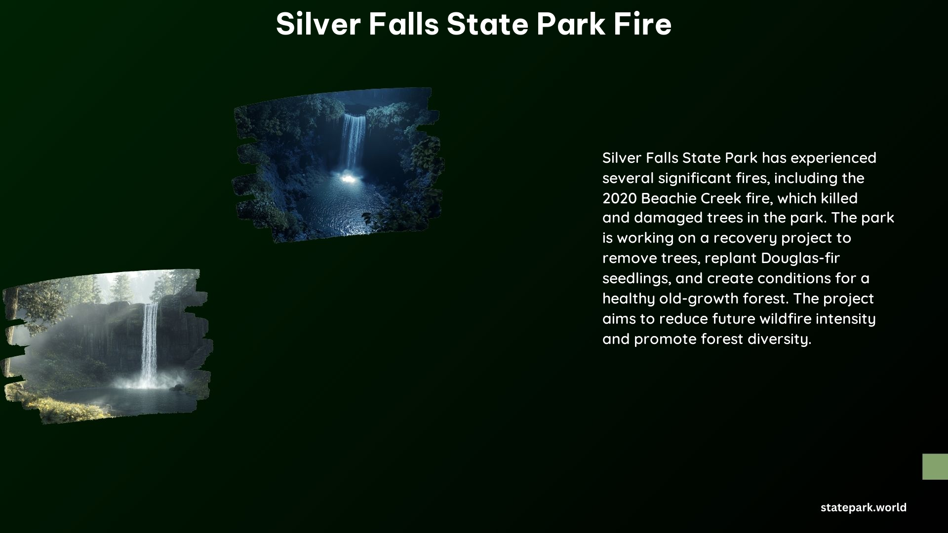 Silver Falls State Park Fire