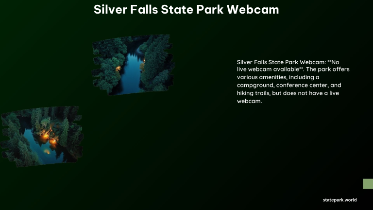 Silver Falls State Park Webcam