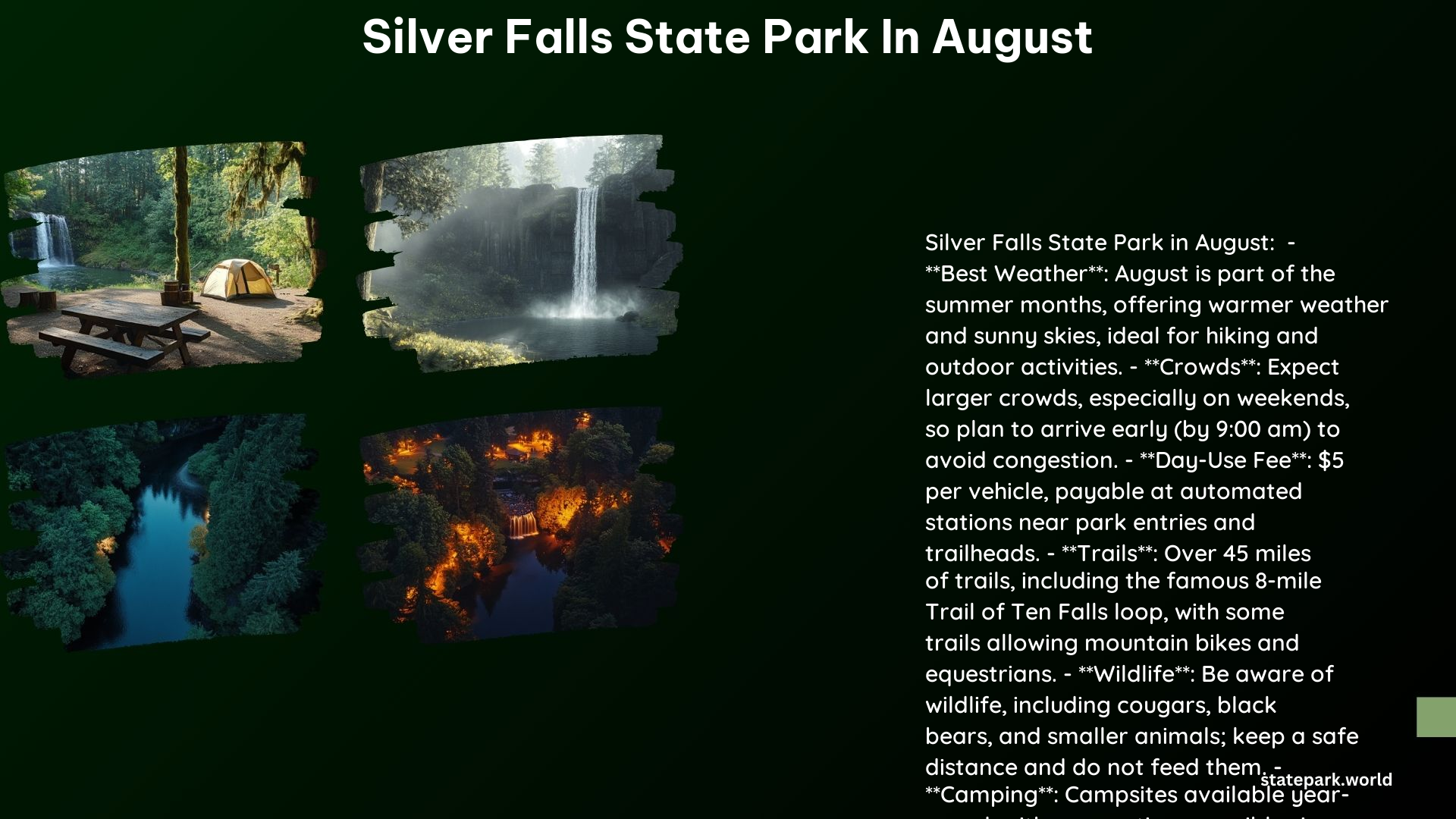 Silver Falls State Park in August