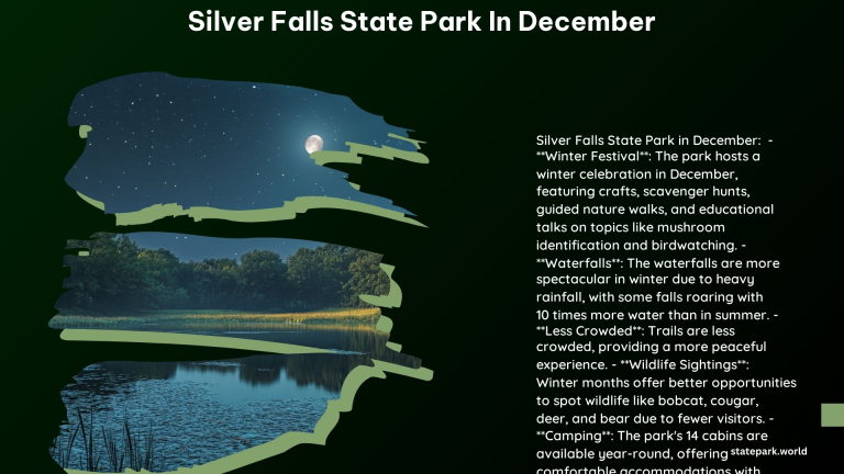 Silver Falls State Park in December 1