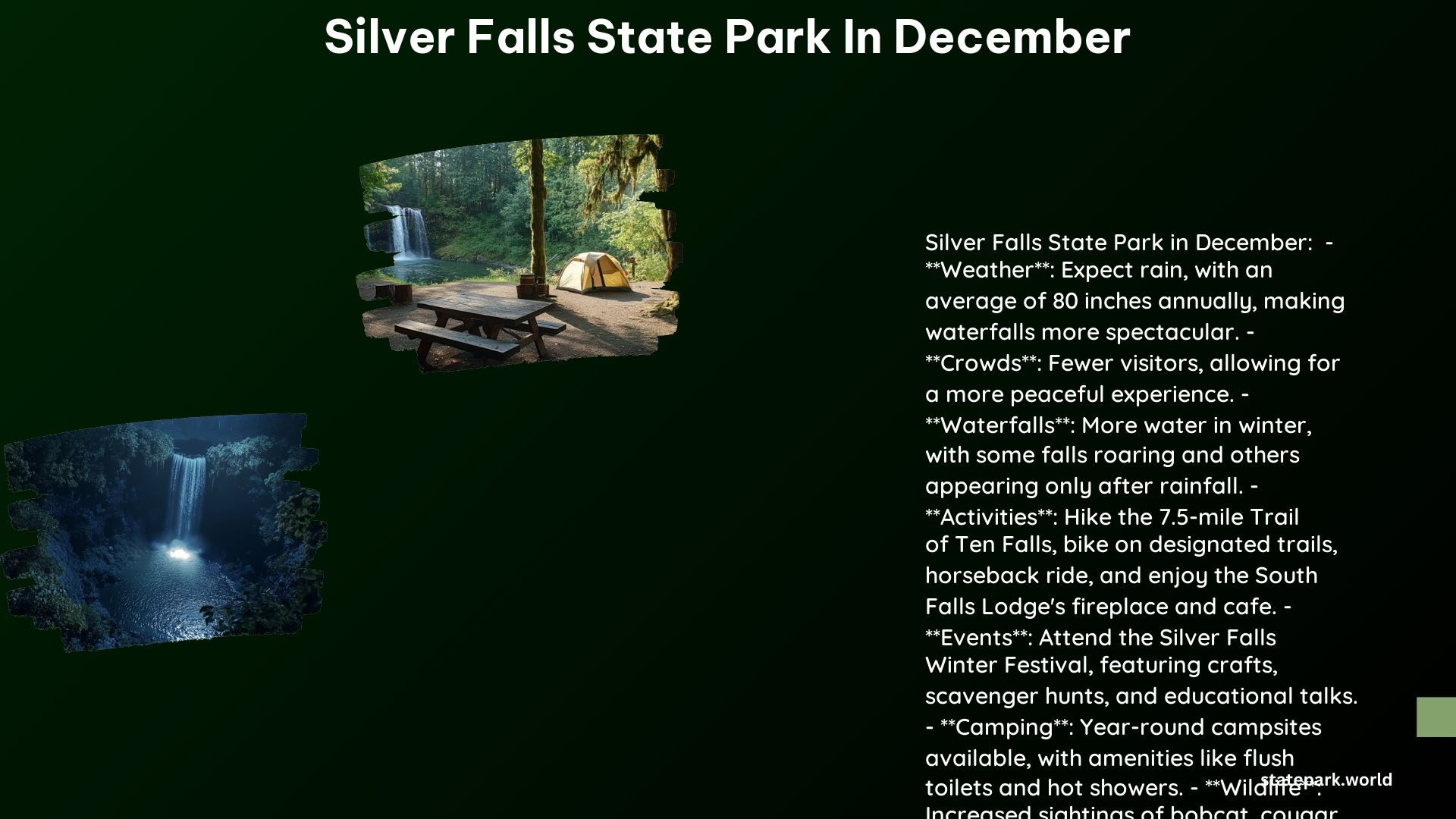 Silver Falls State Park in December