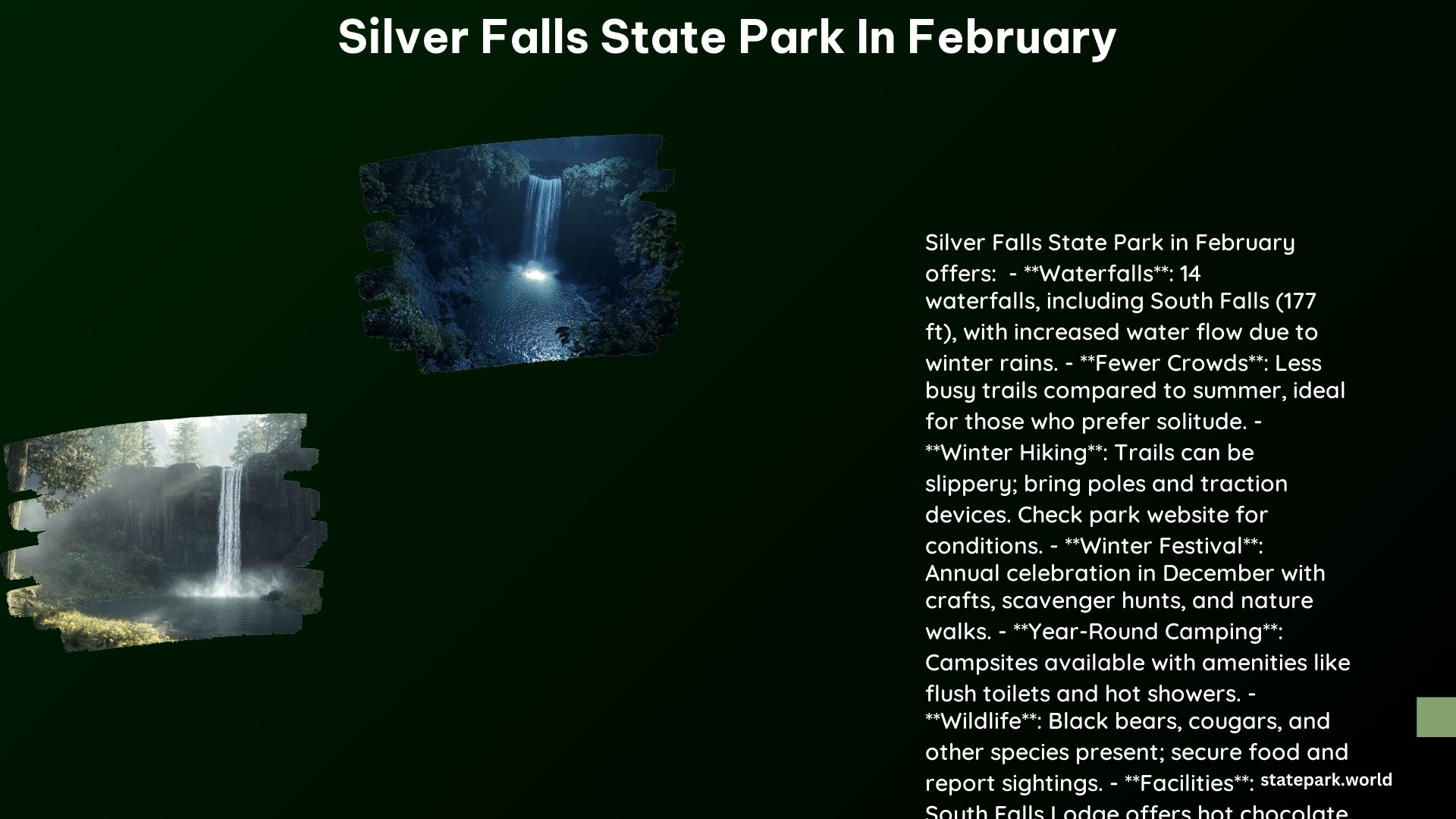 Silver Falls State Park in February