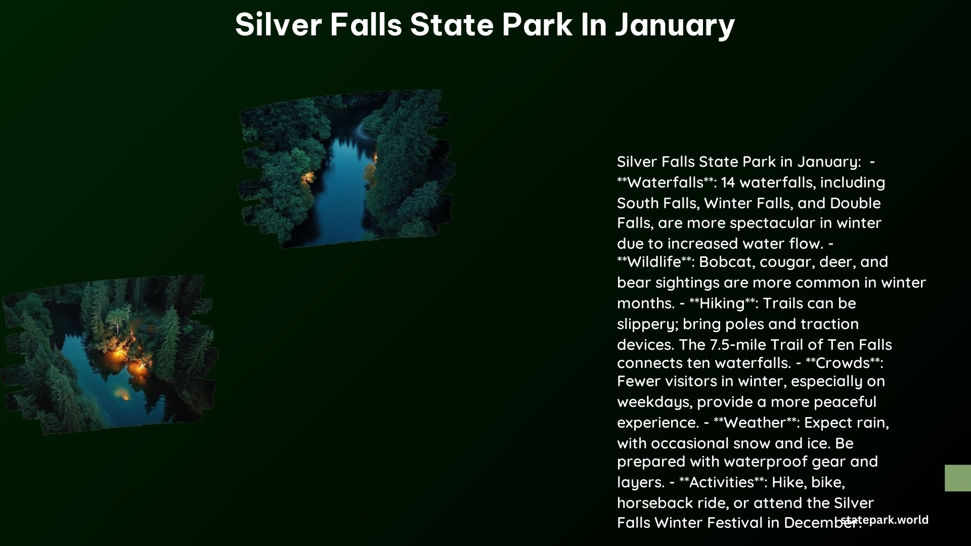 Silver Falls State Park in January