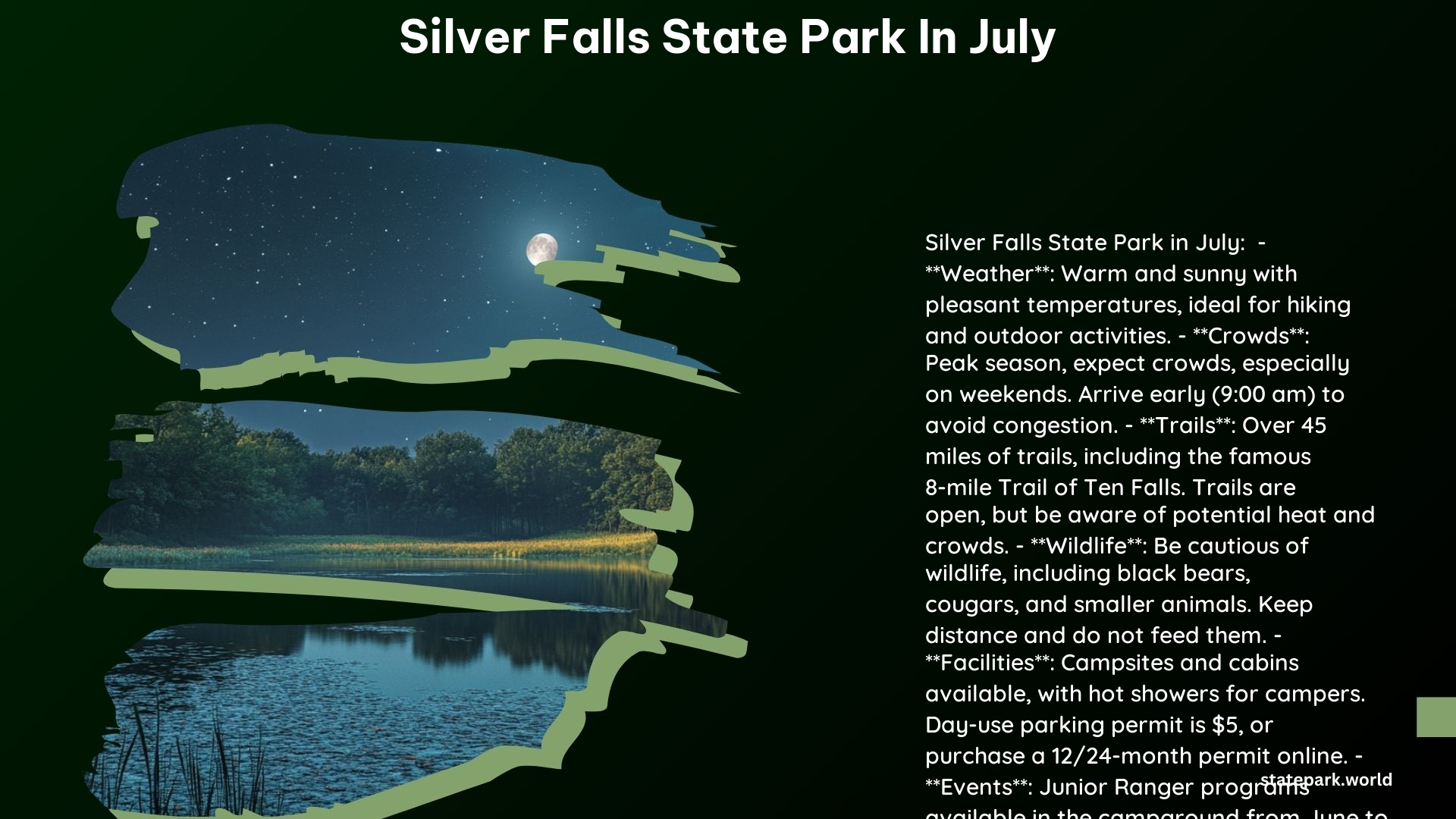 Silver Falls State Park in July 1