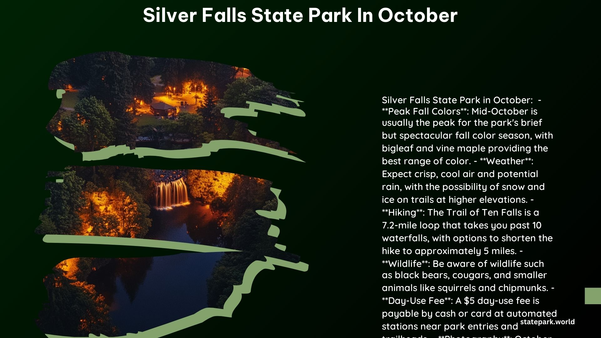 Silver Falls State Park in October