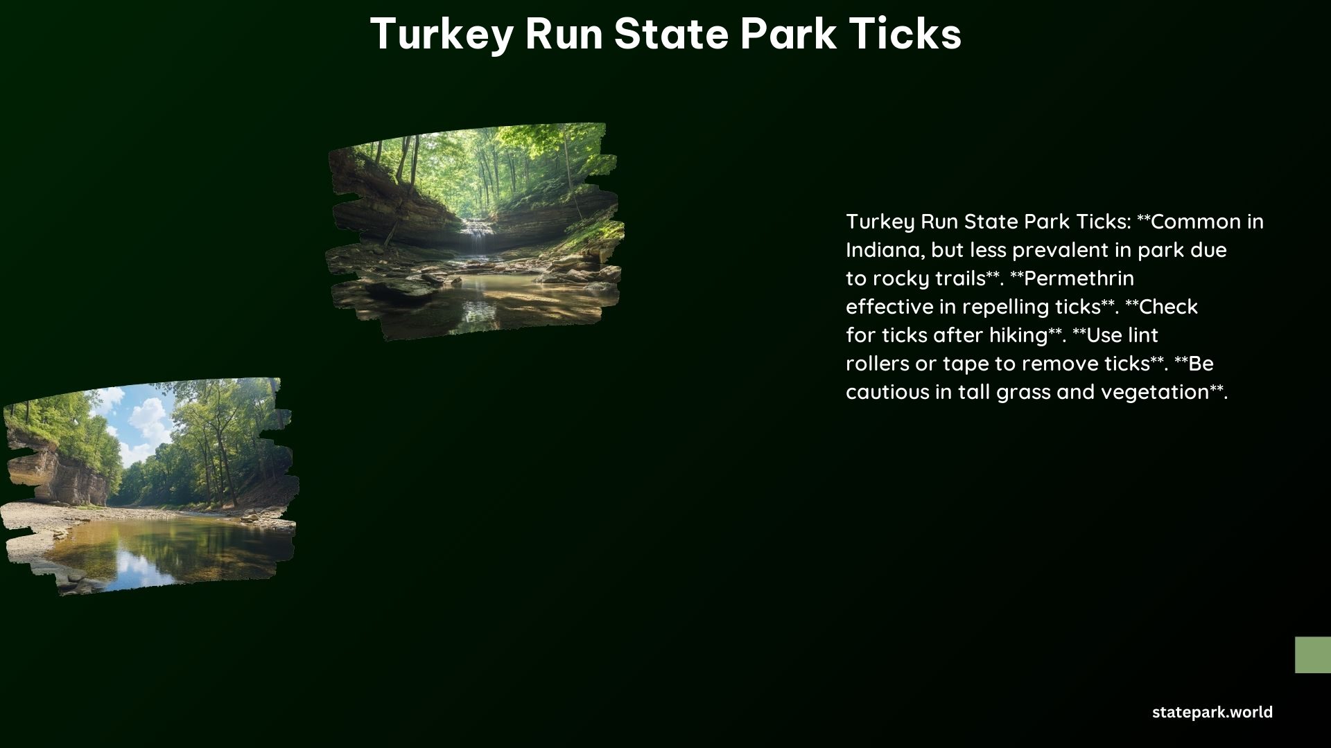 Turkey Run State Park Ticks