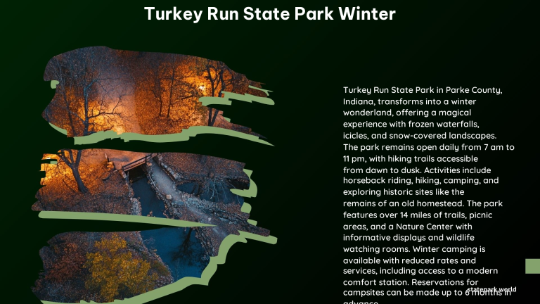 Turkey Run State Park Winter