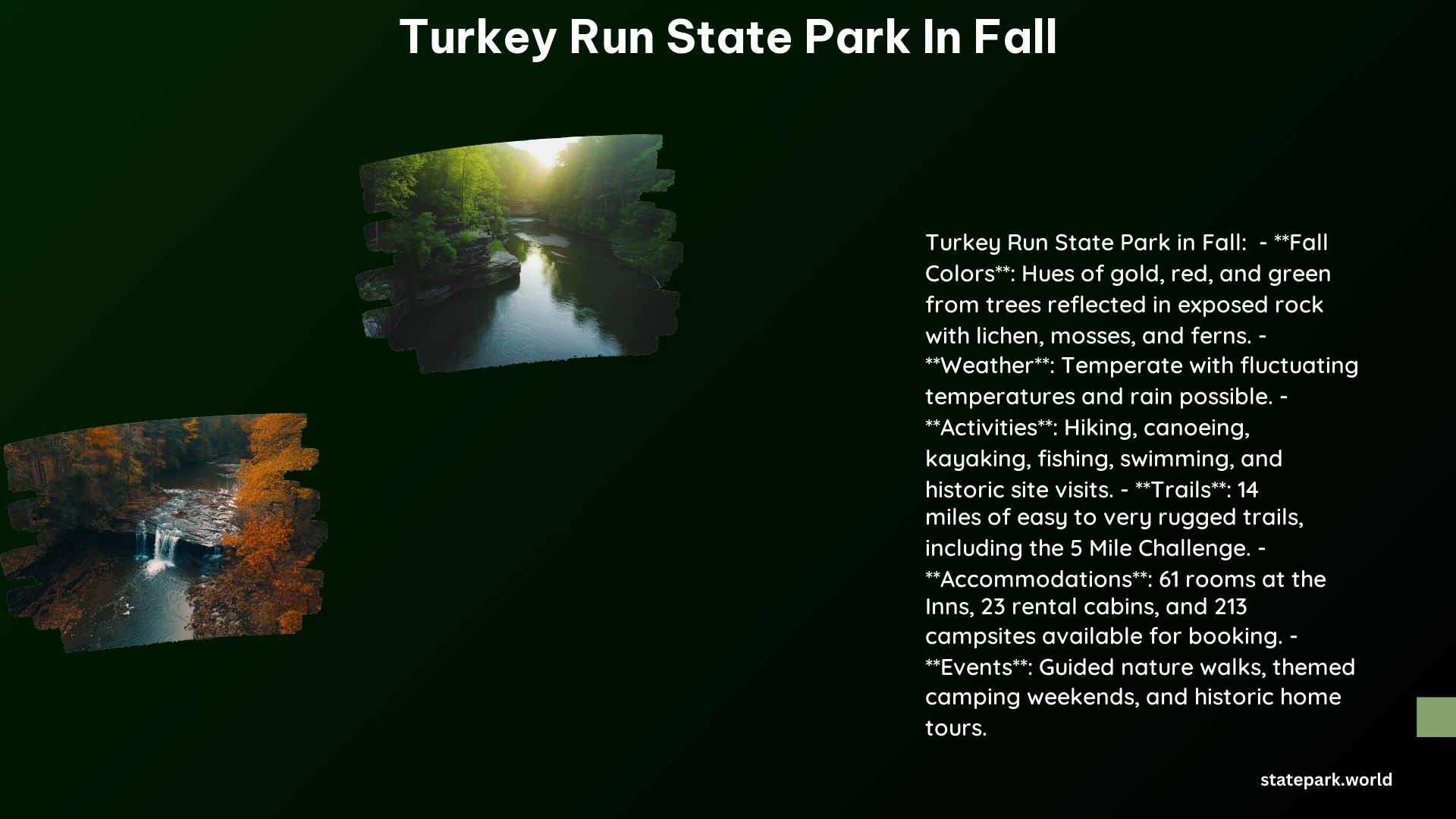 Turkey Run State Park in Fall