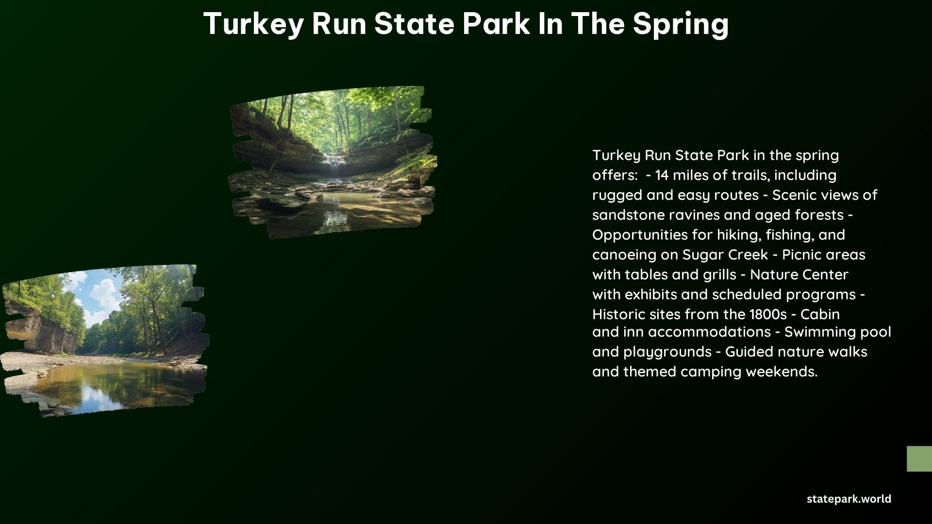 Turkey Run State Park in the Spring