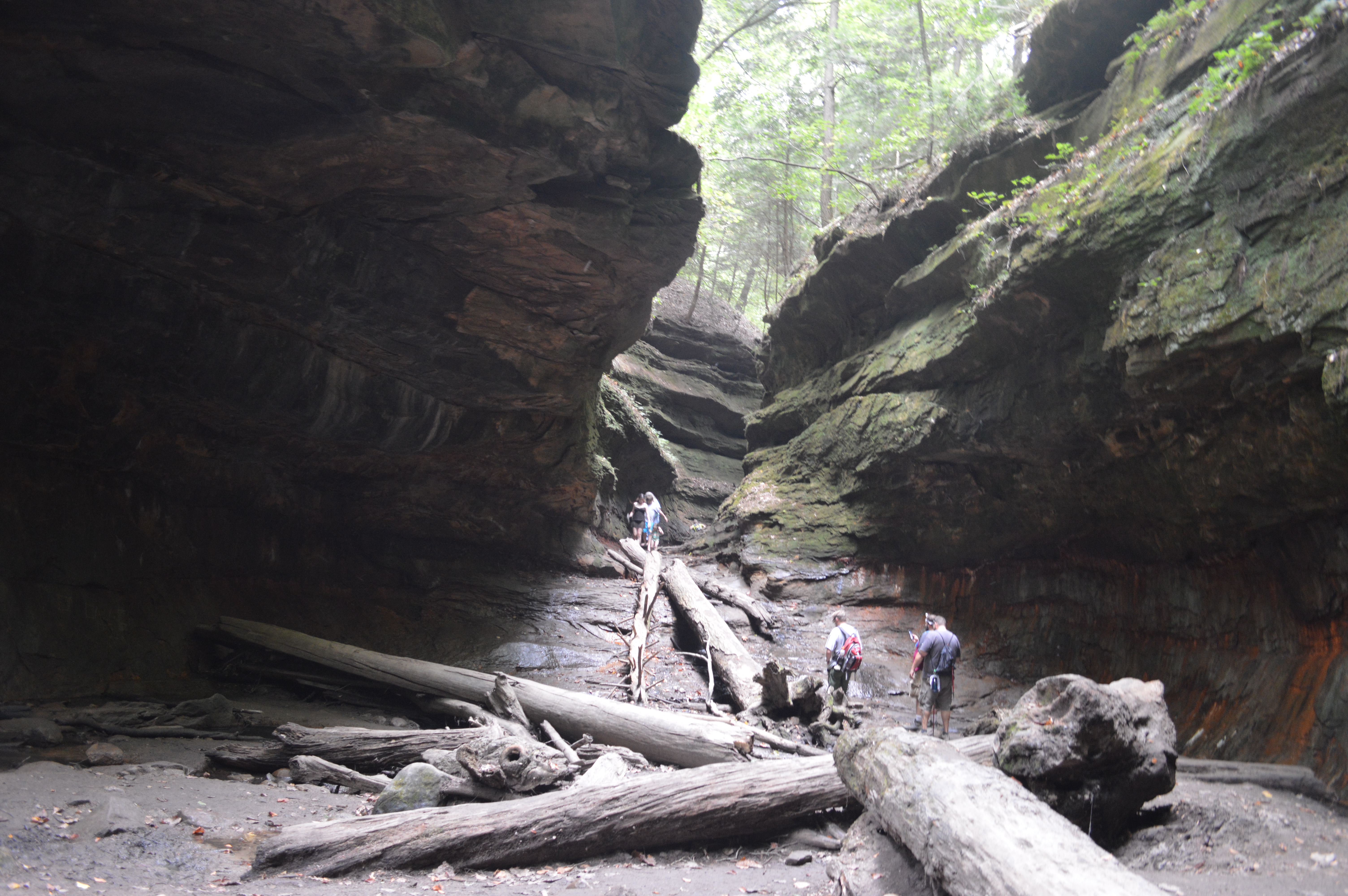 Turkey Run State Park Trails Closed