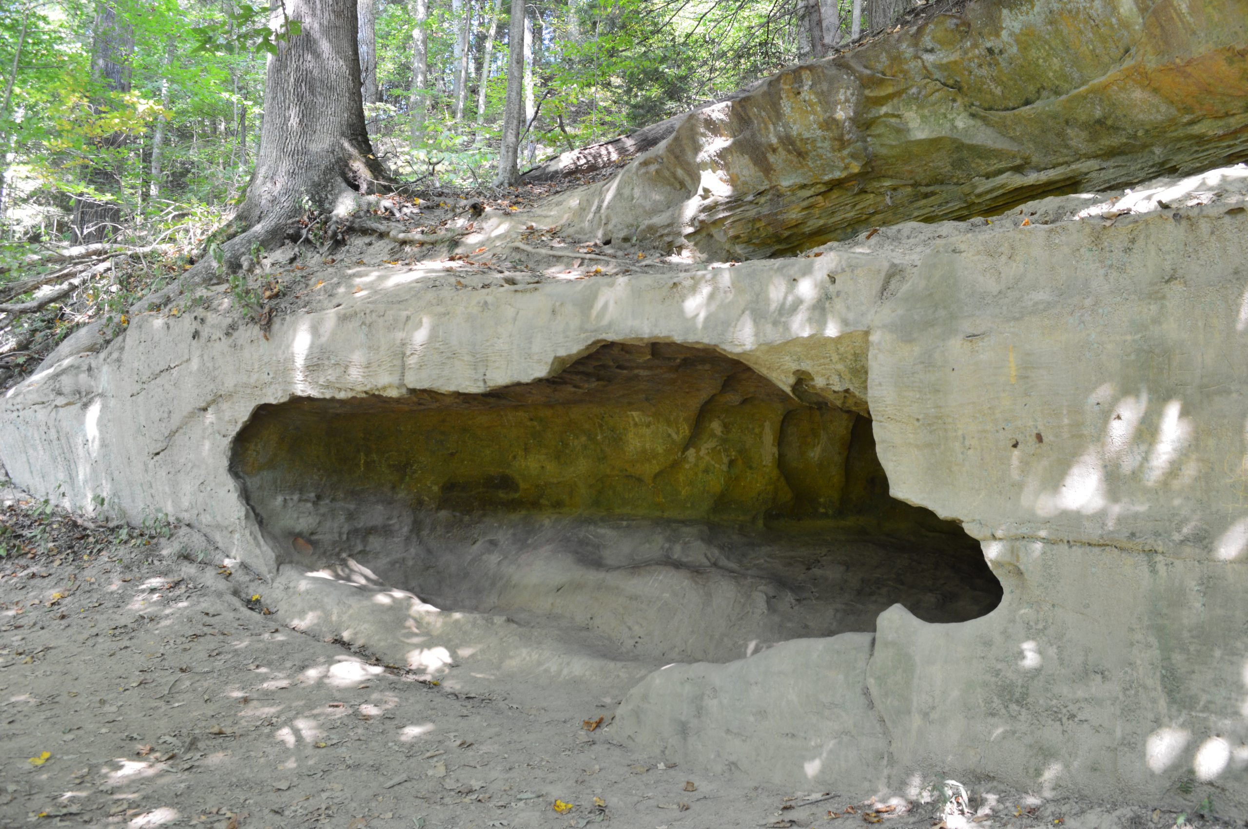 Turkey Run State Park Boulder Canyon