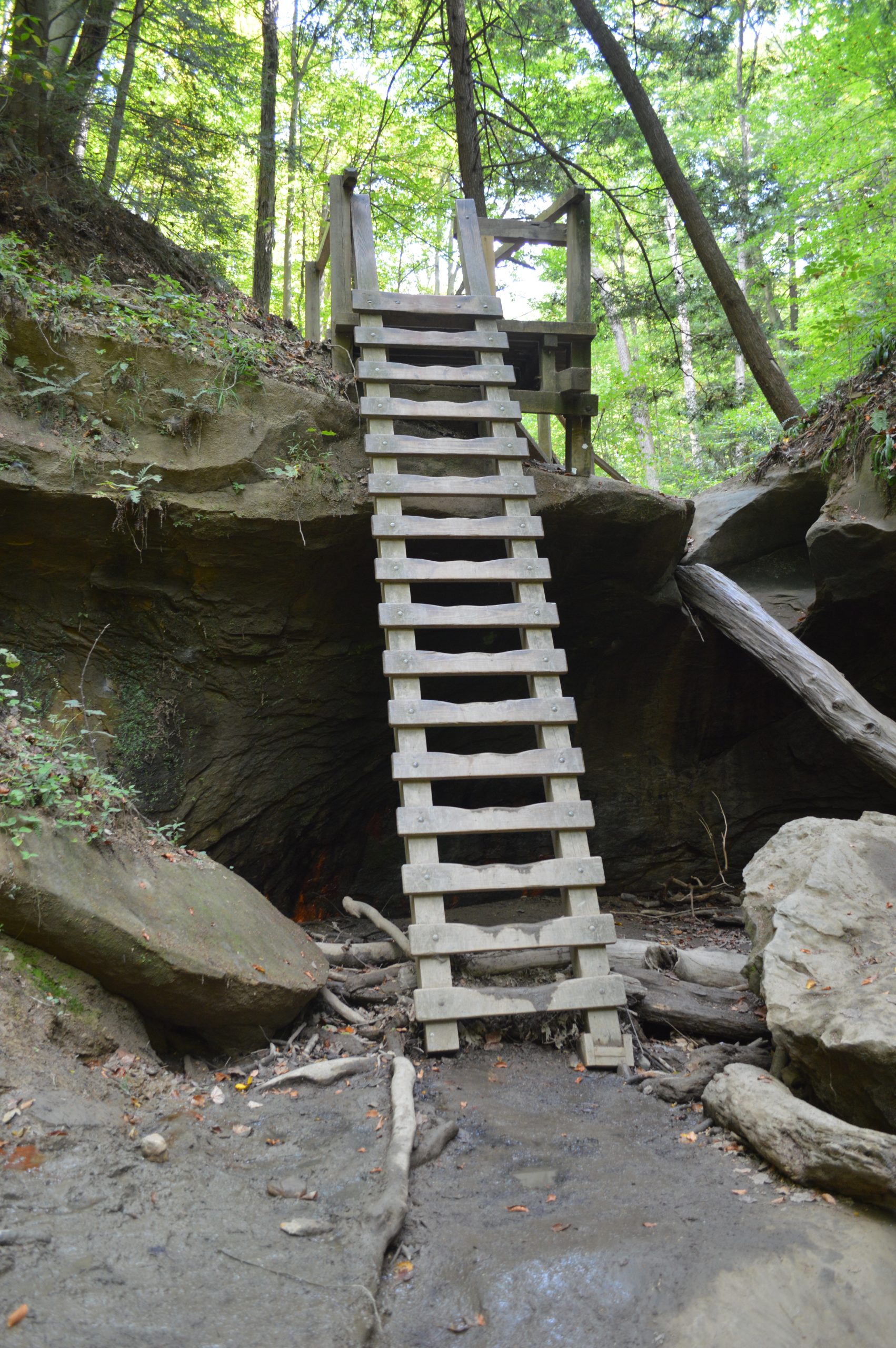 Turkey Run State Park Challenge