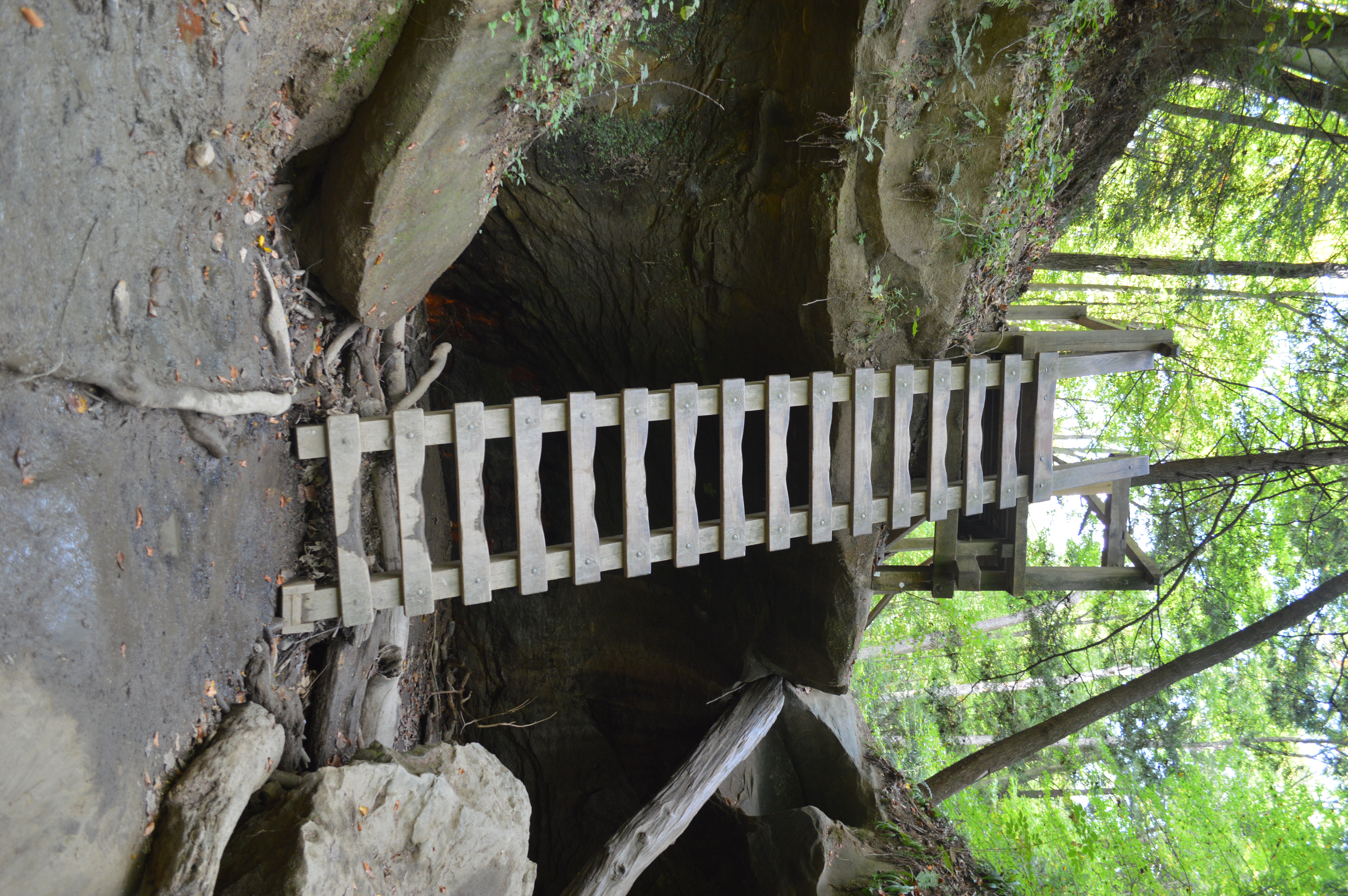 Turkey Run State Park Punch Bowl