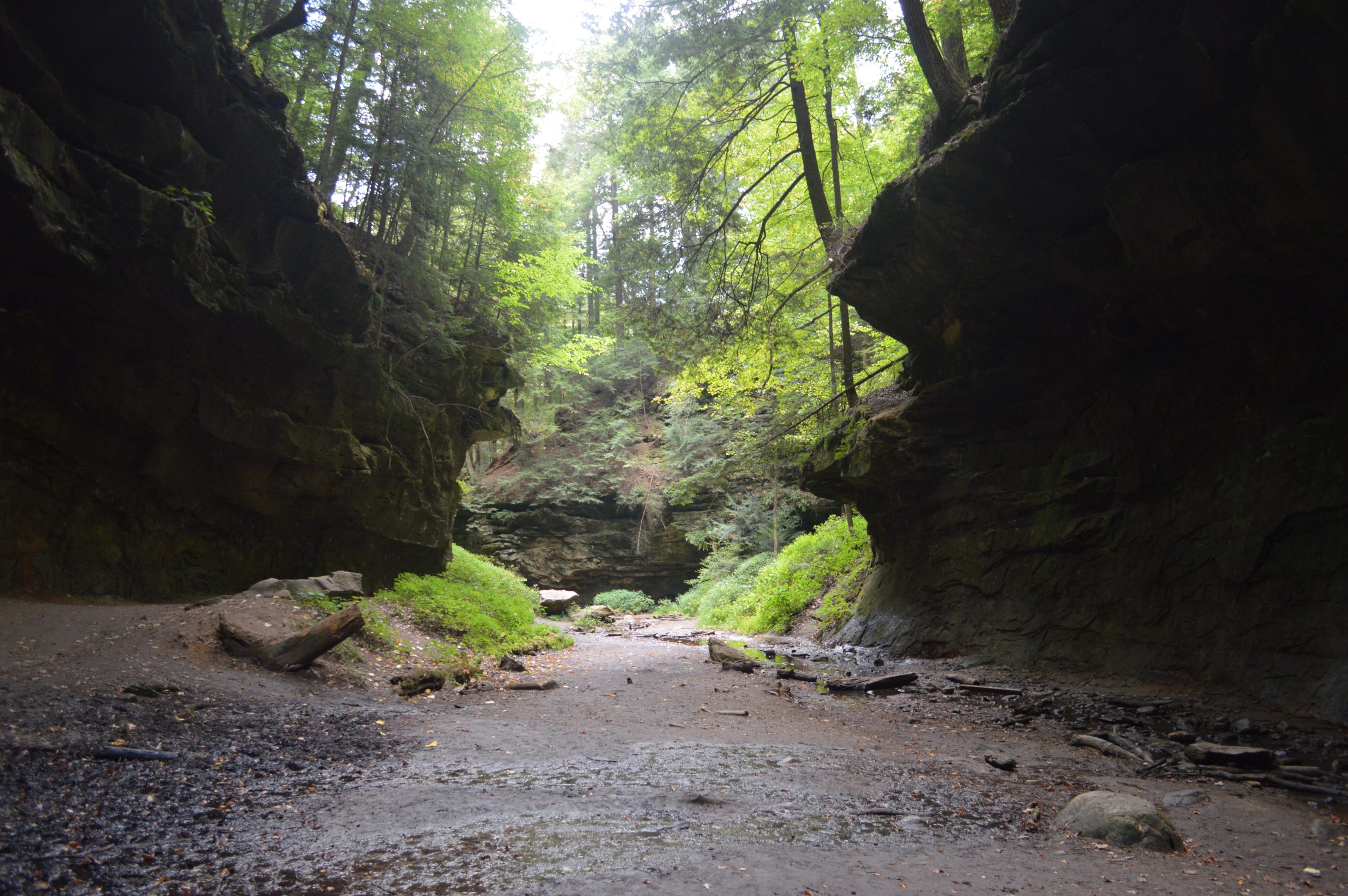 Turkey Run State Park Lodge Reservations