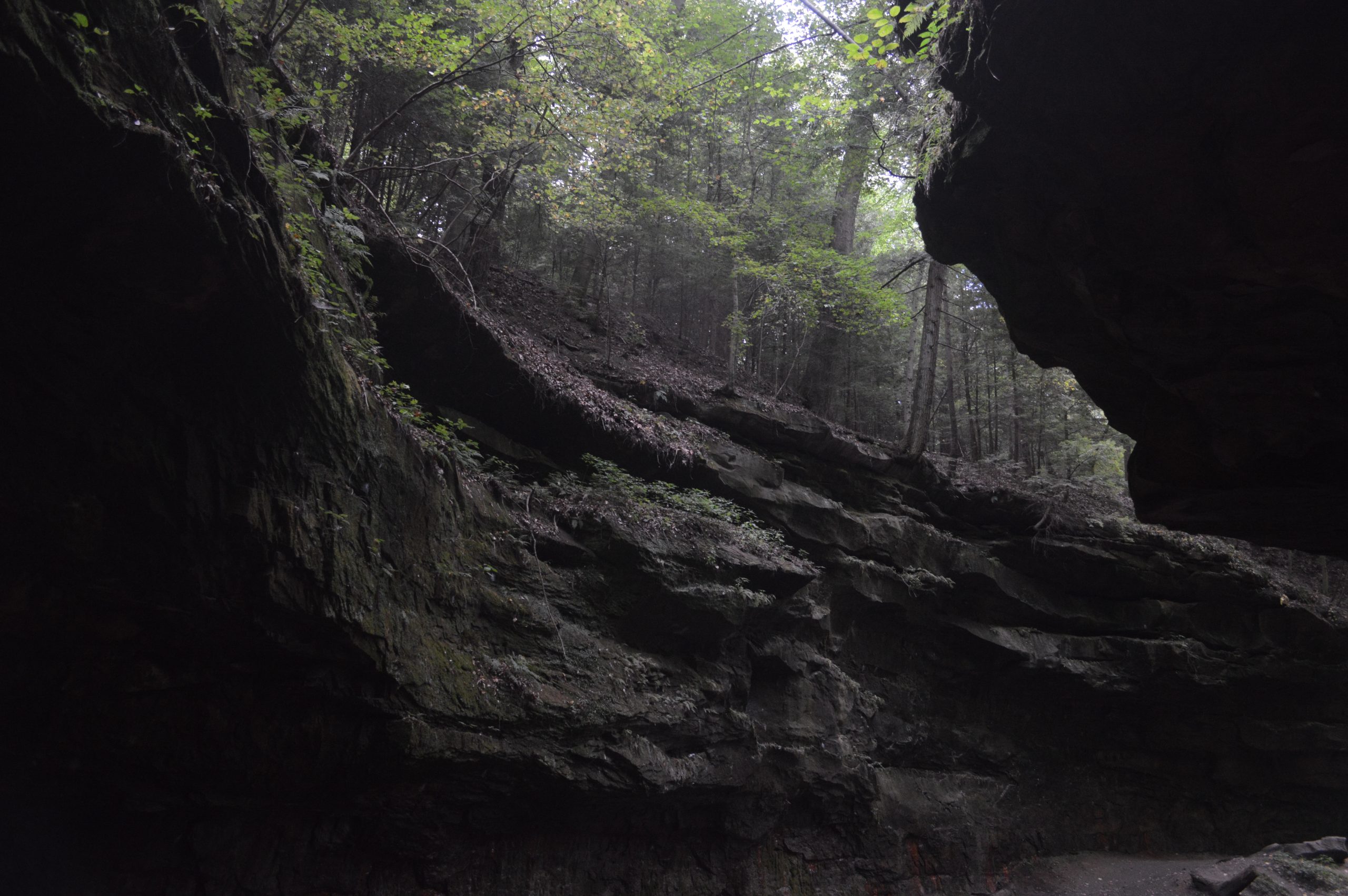 Turkey Run State Park Campground Address